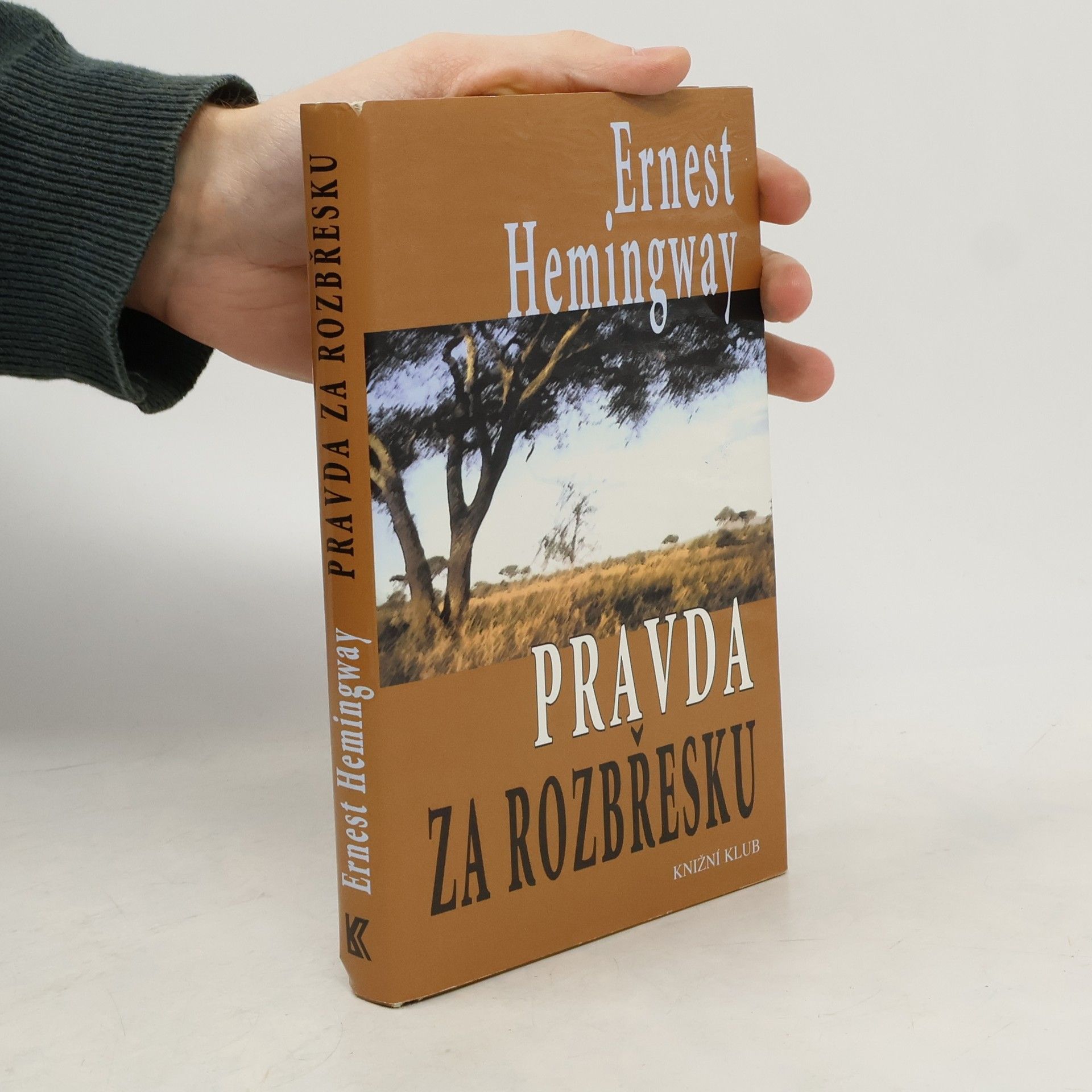 Ernest Hemingway Pravda za rozbřesku