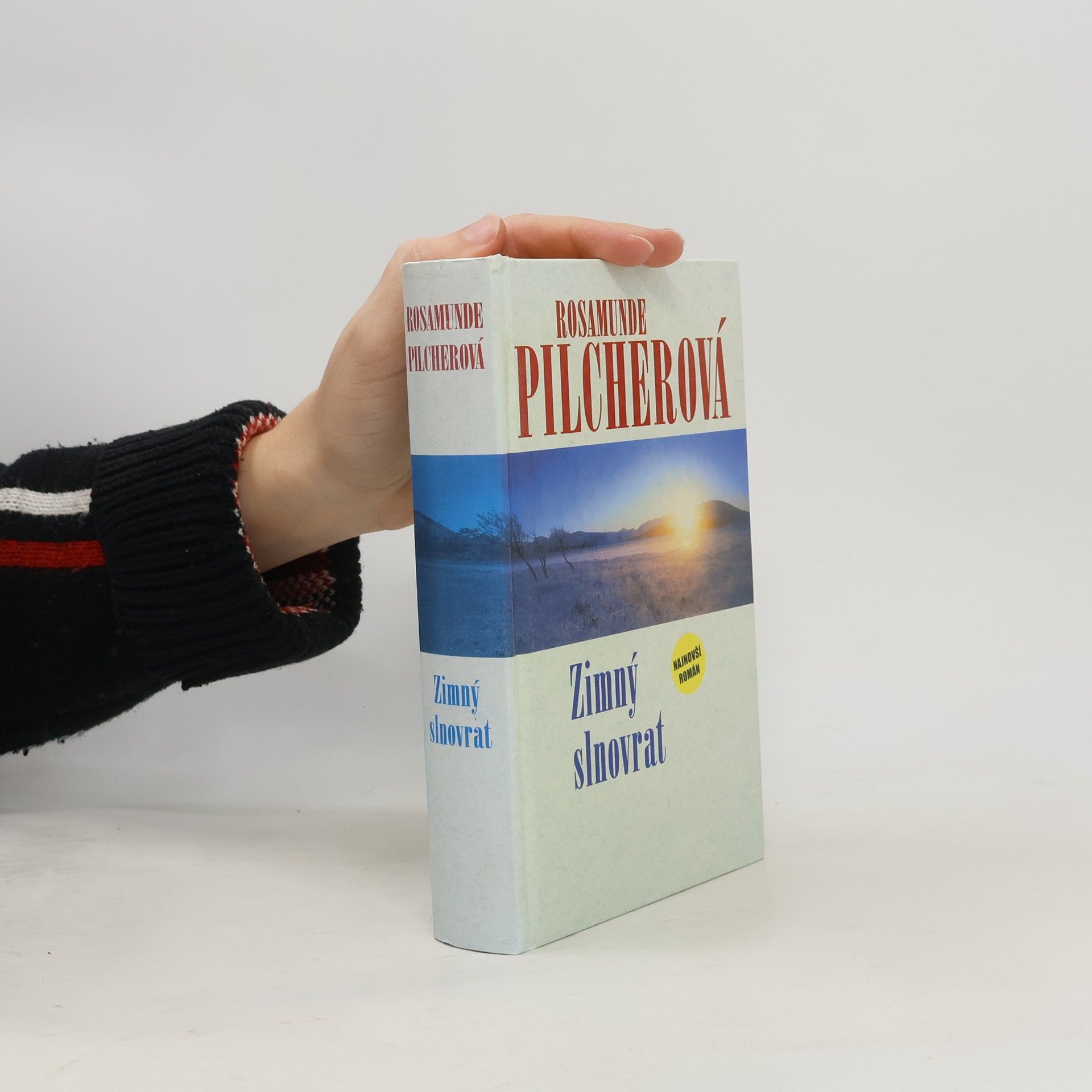 Rosamunde Pilcher Zimný slnovrat