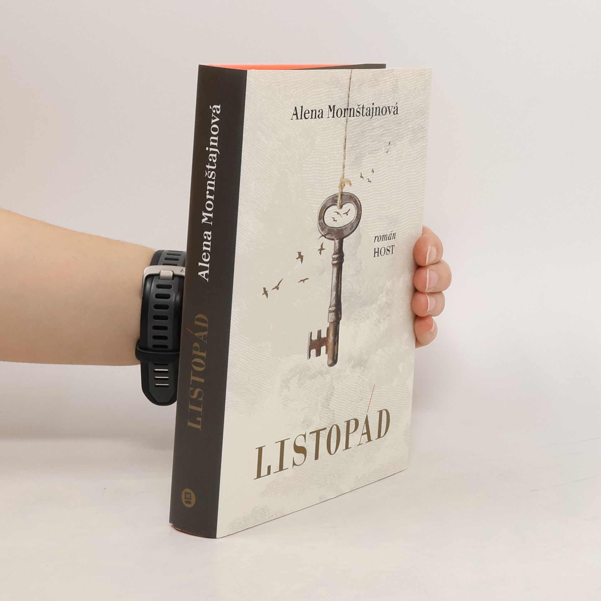 Alena Mornštajnová Listopád