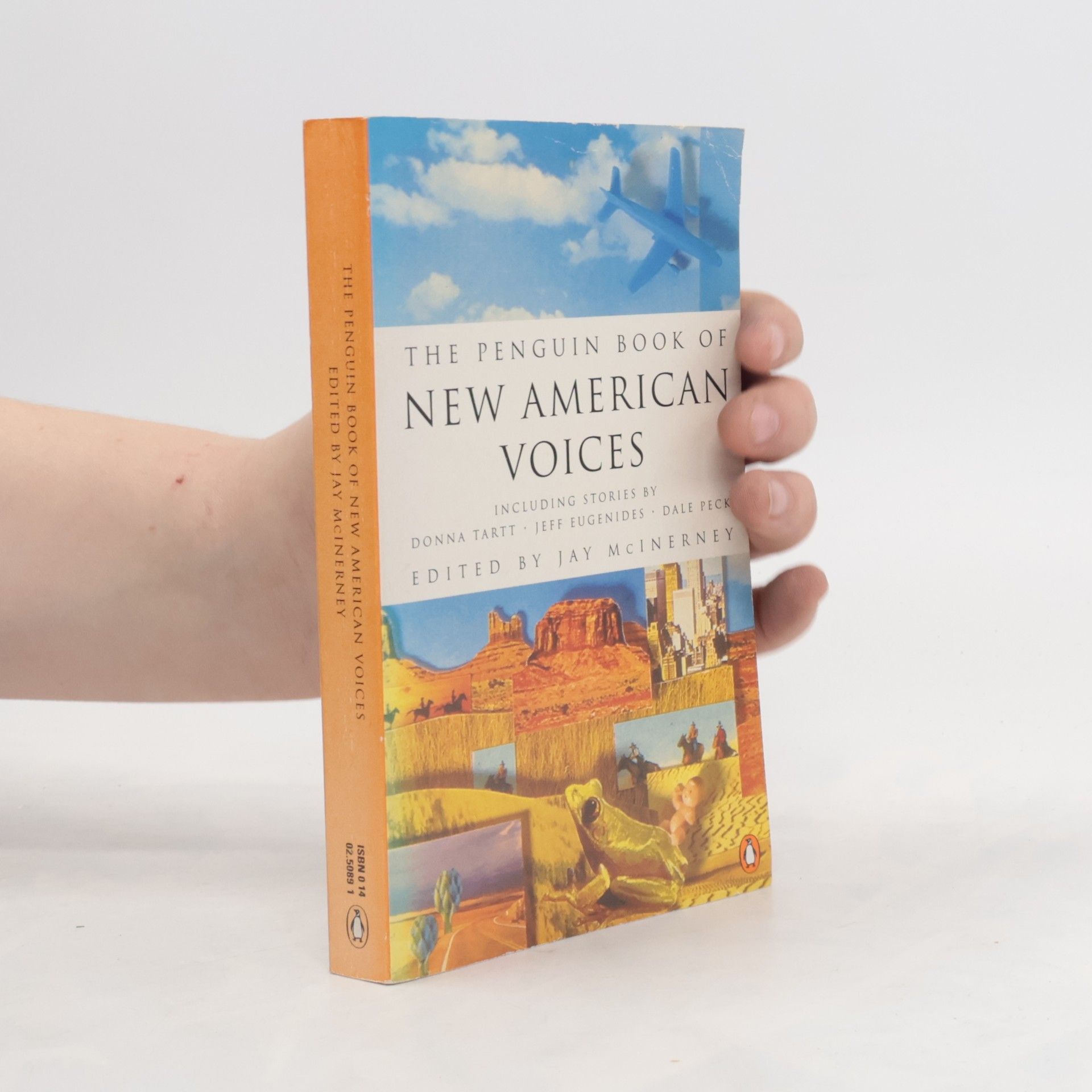 Donna Tartt The Penguin Book of New American Voices