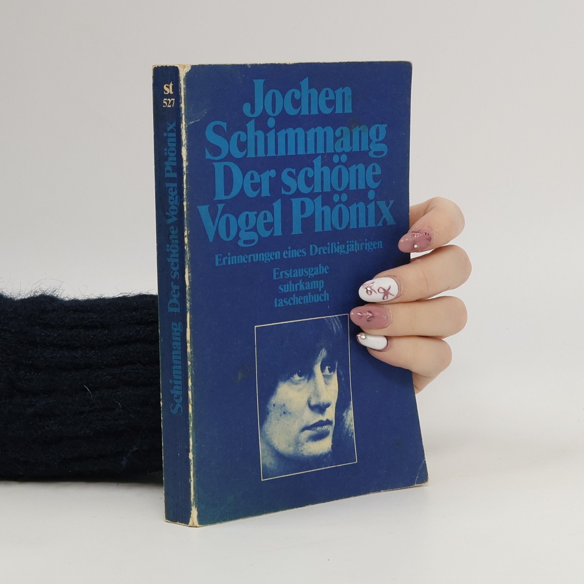 Jochen Schimmang Der schöne Vogel Phönix