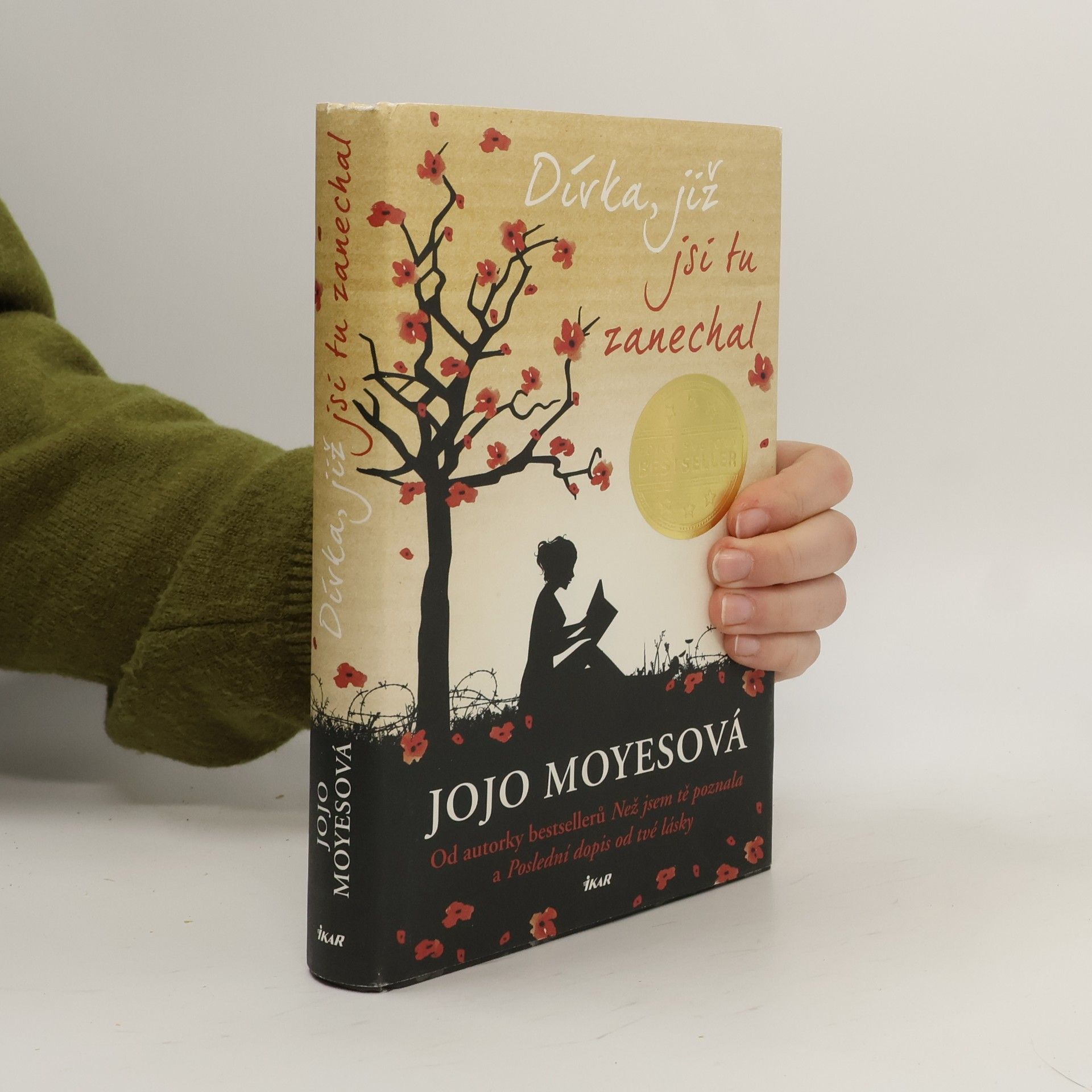 Lucie Mikolajková Dívka, již jsi tu zanechal