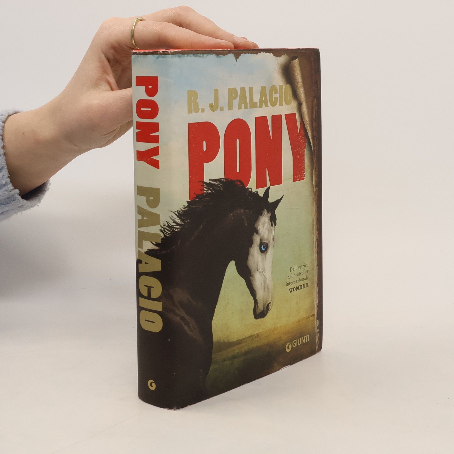 R. J. Placio Pony