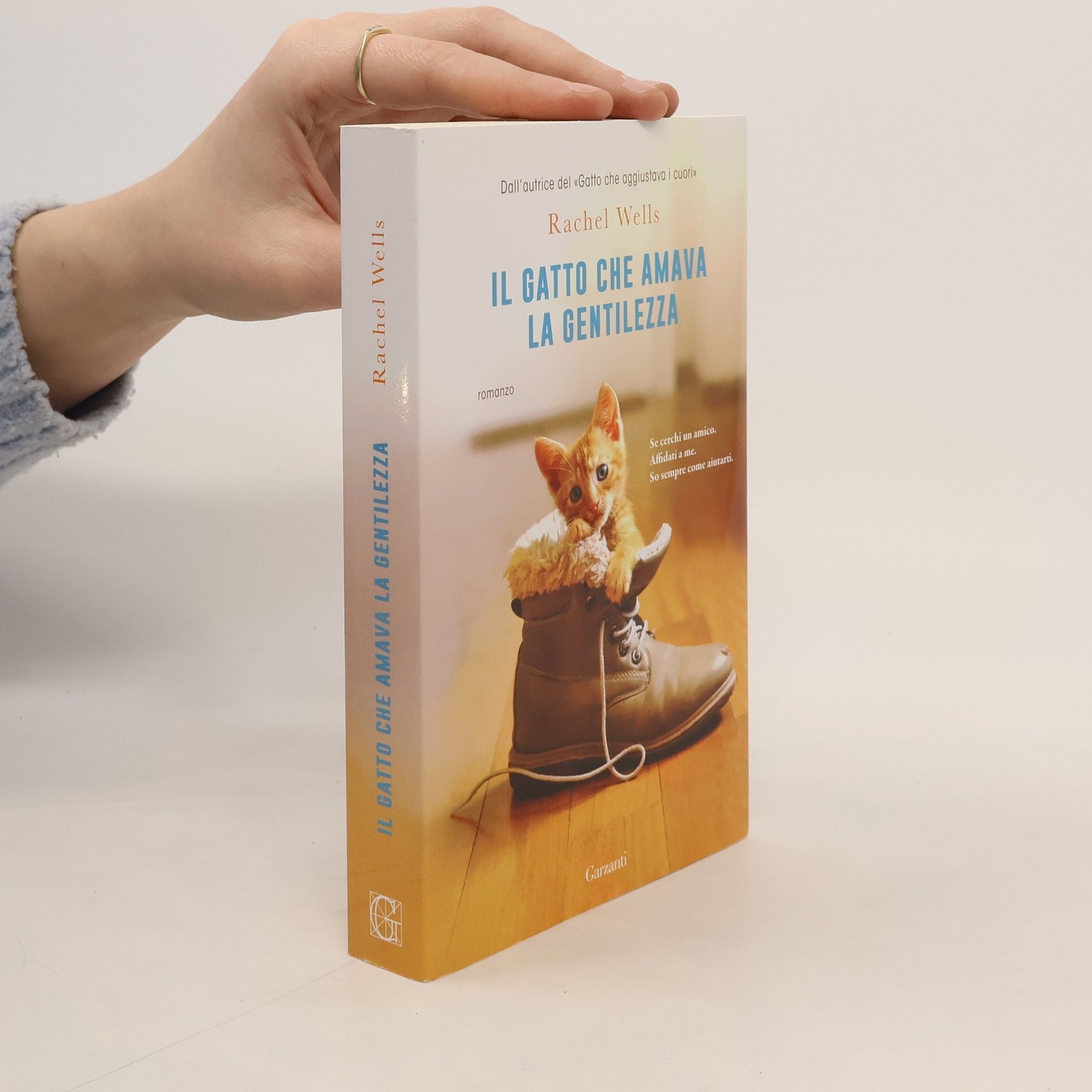 Il gatto che amava la gentilezza
