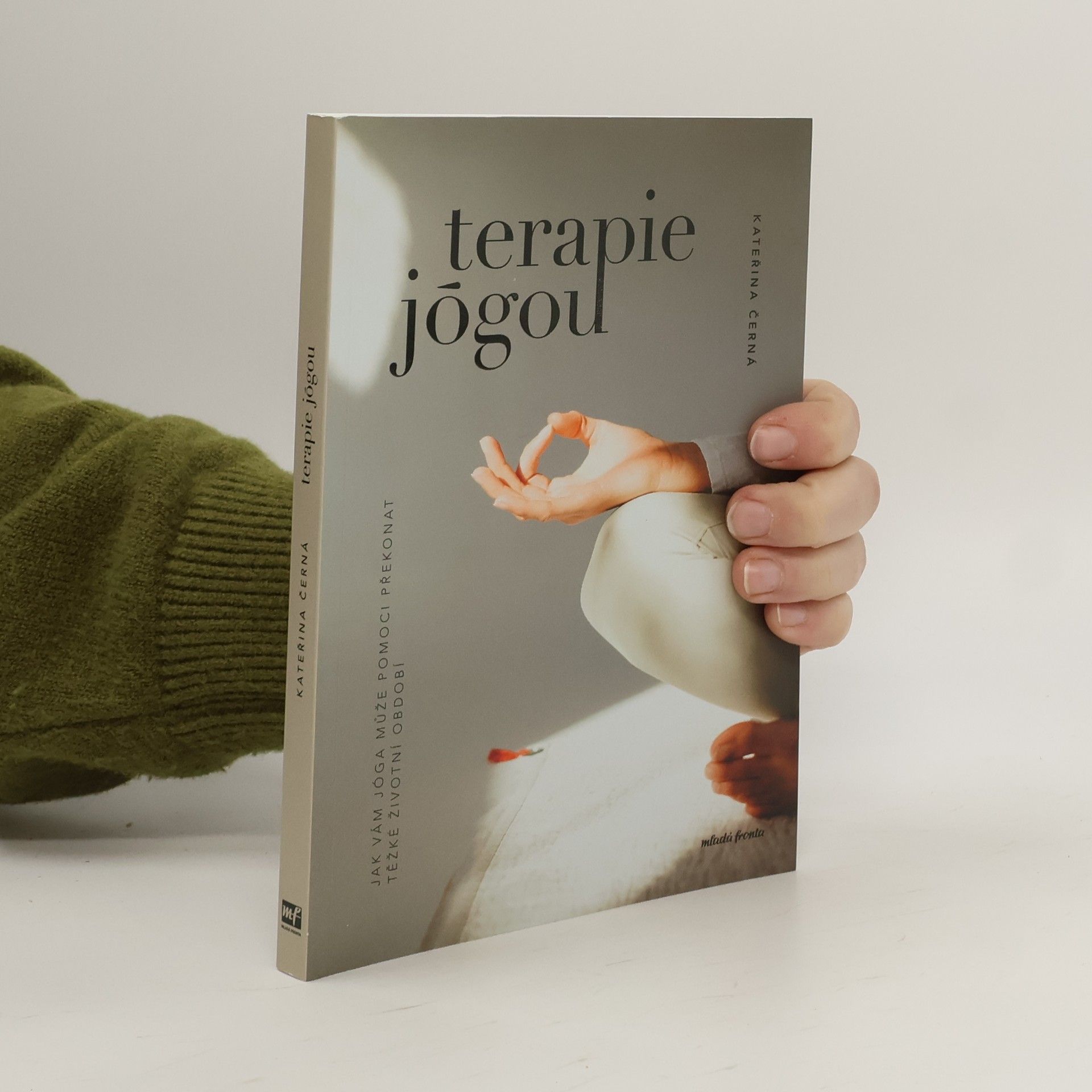 Kateřina Černá Terapie jógou : Jak vám jóga může pomoci překonat těžké životní období