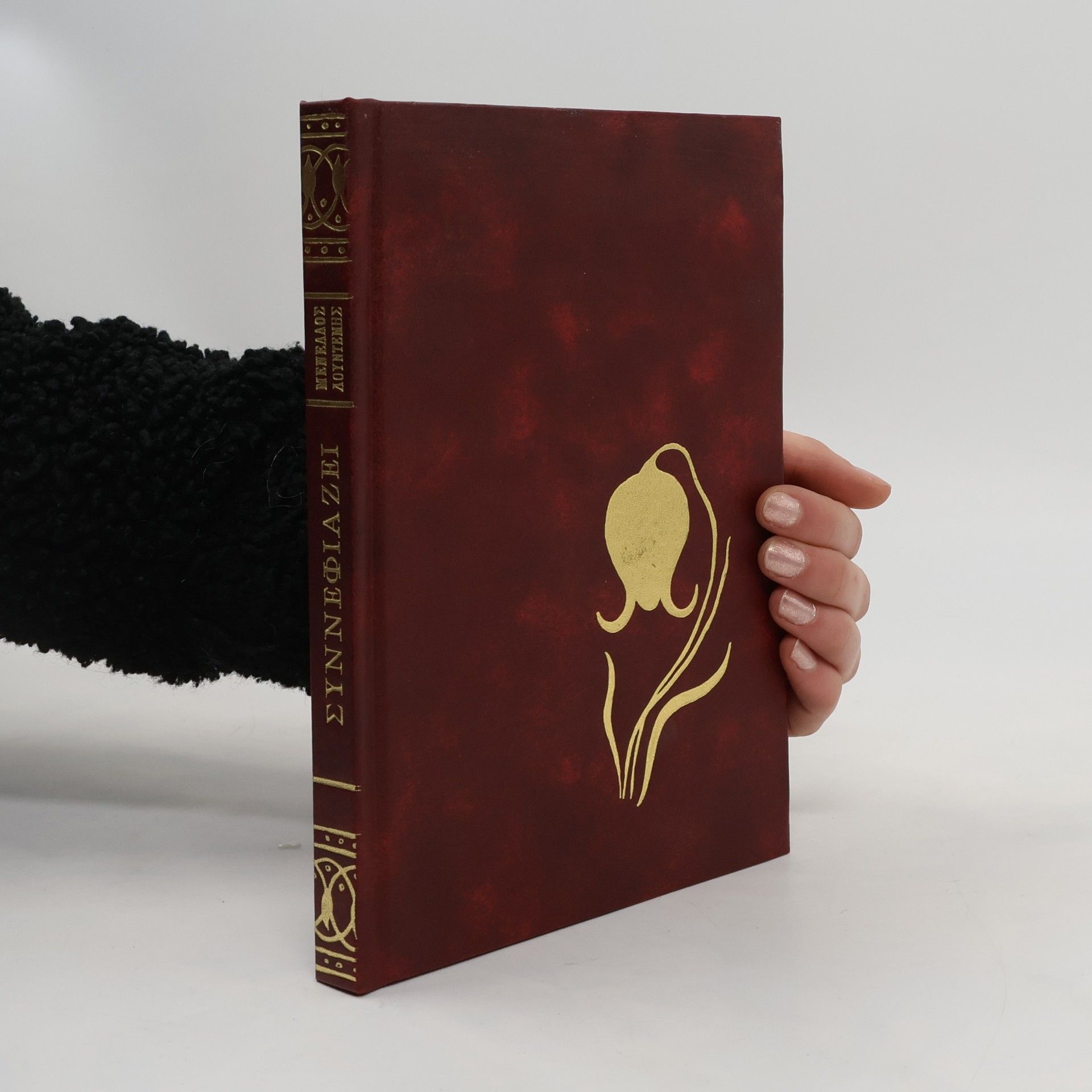 Menelaos Loudemis Συννεφιάζει