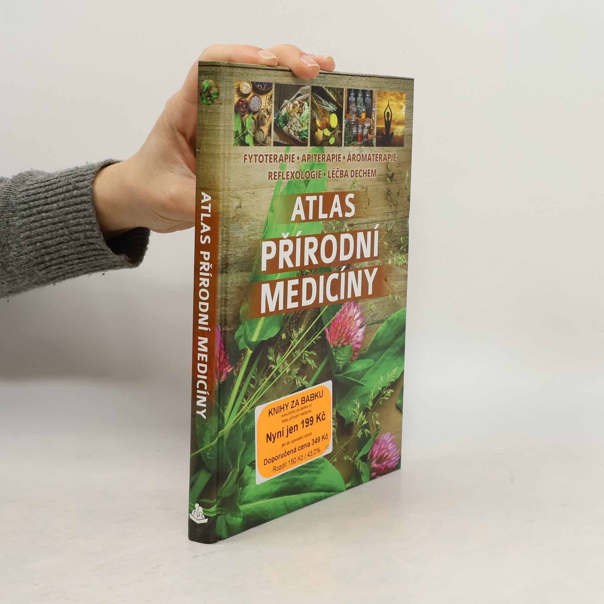 Autorenkollektiv Atlas přírodní medicíny: Fytoterapie, apiterapie, aromaterapie, reflexologie, léčba dechem