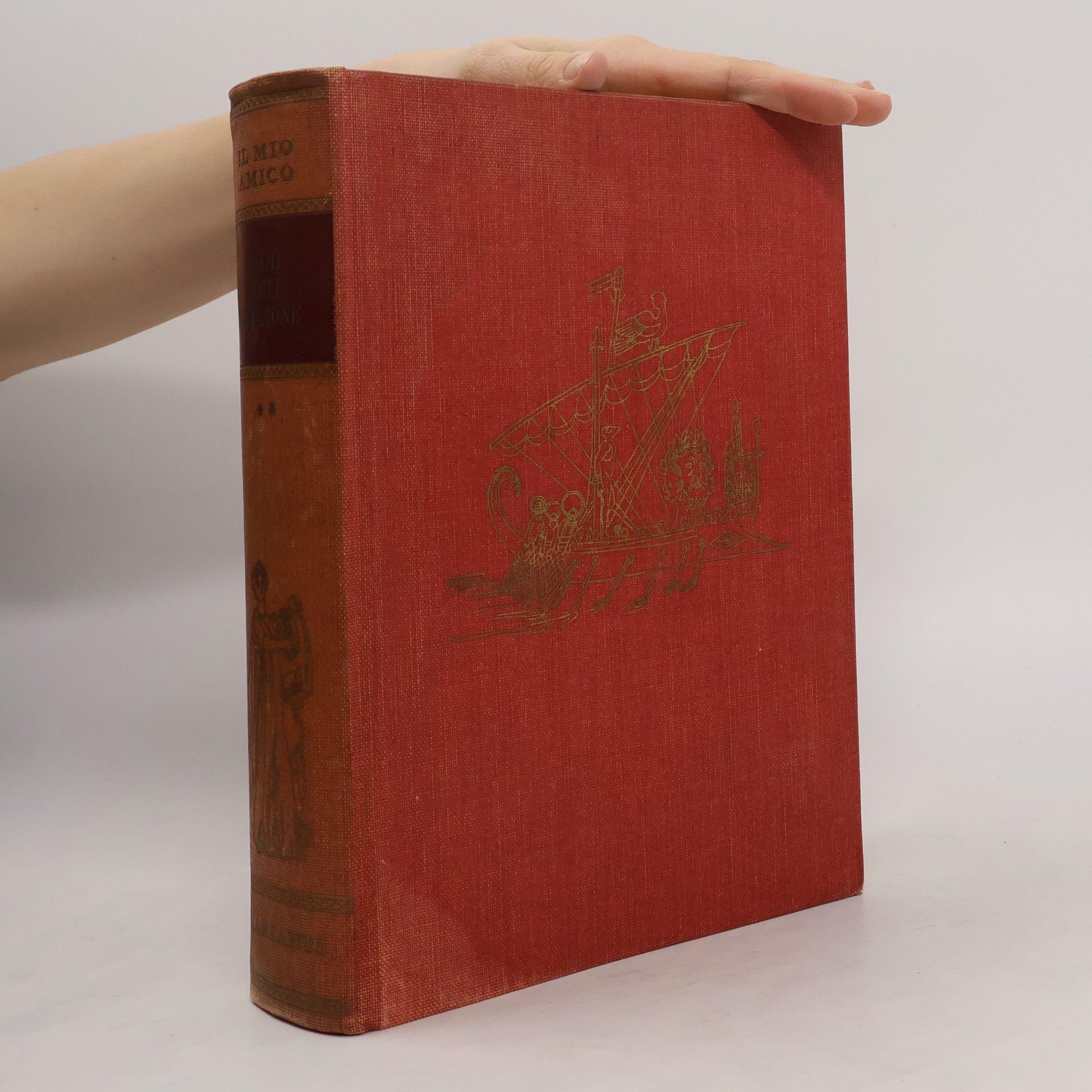 Autorenkollektiv Il mio amico