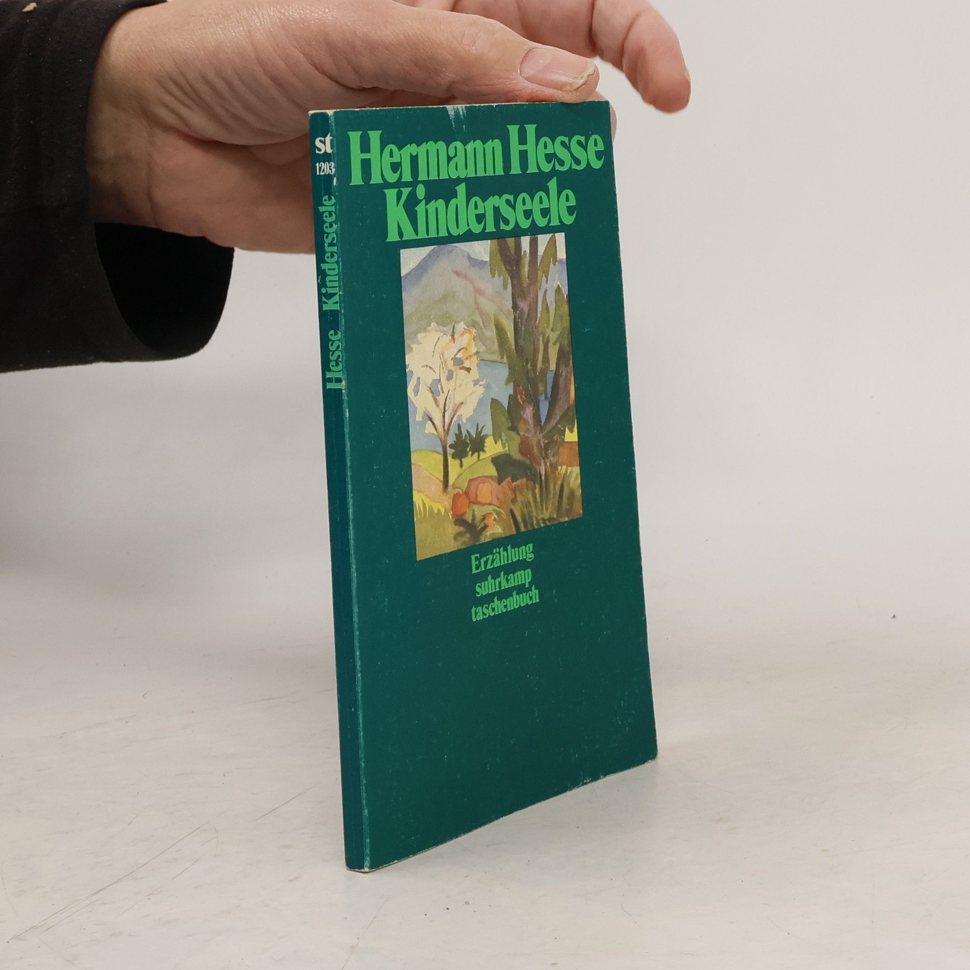 Hermann Hesse Kinderseele