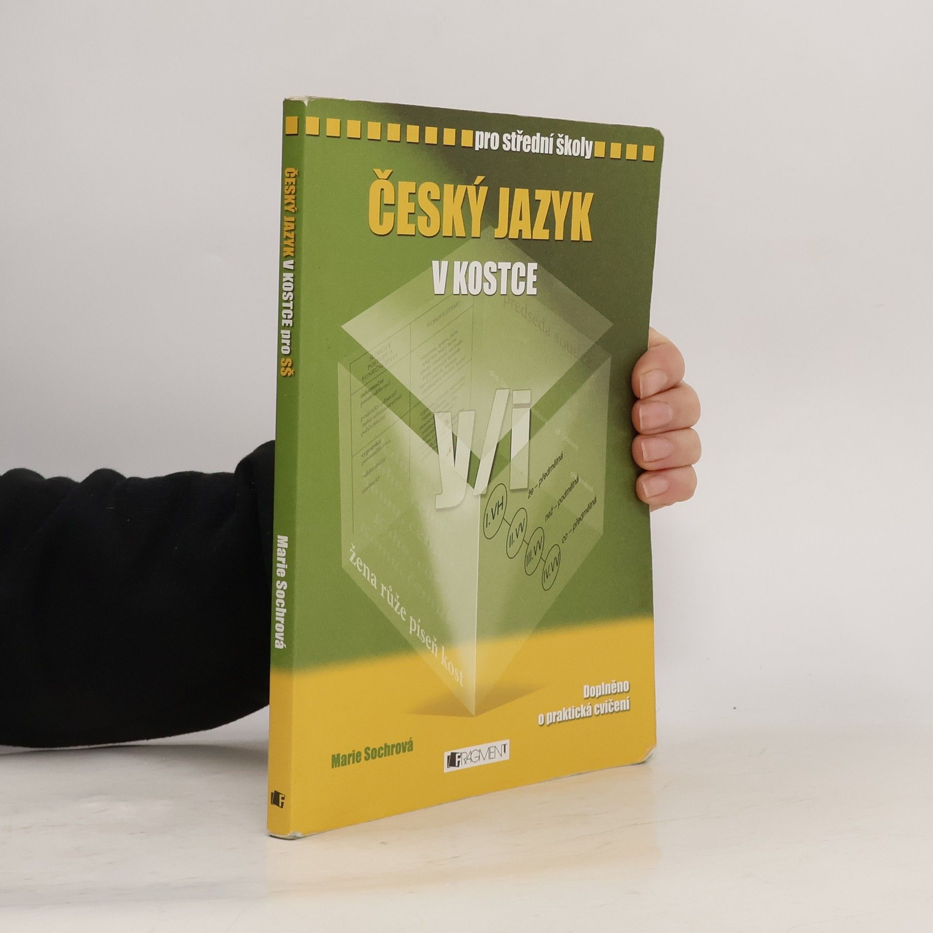 Marie Sochrová Český jazyk v kostce : pro střední školy