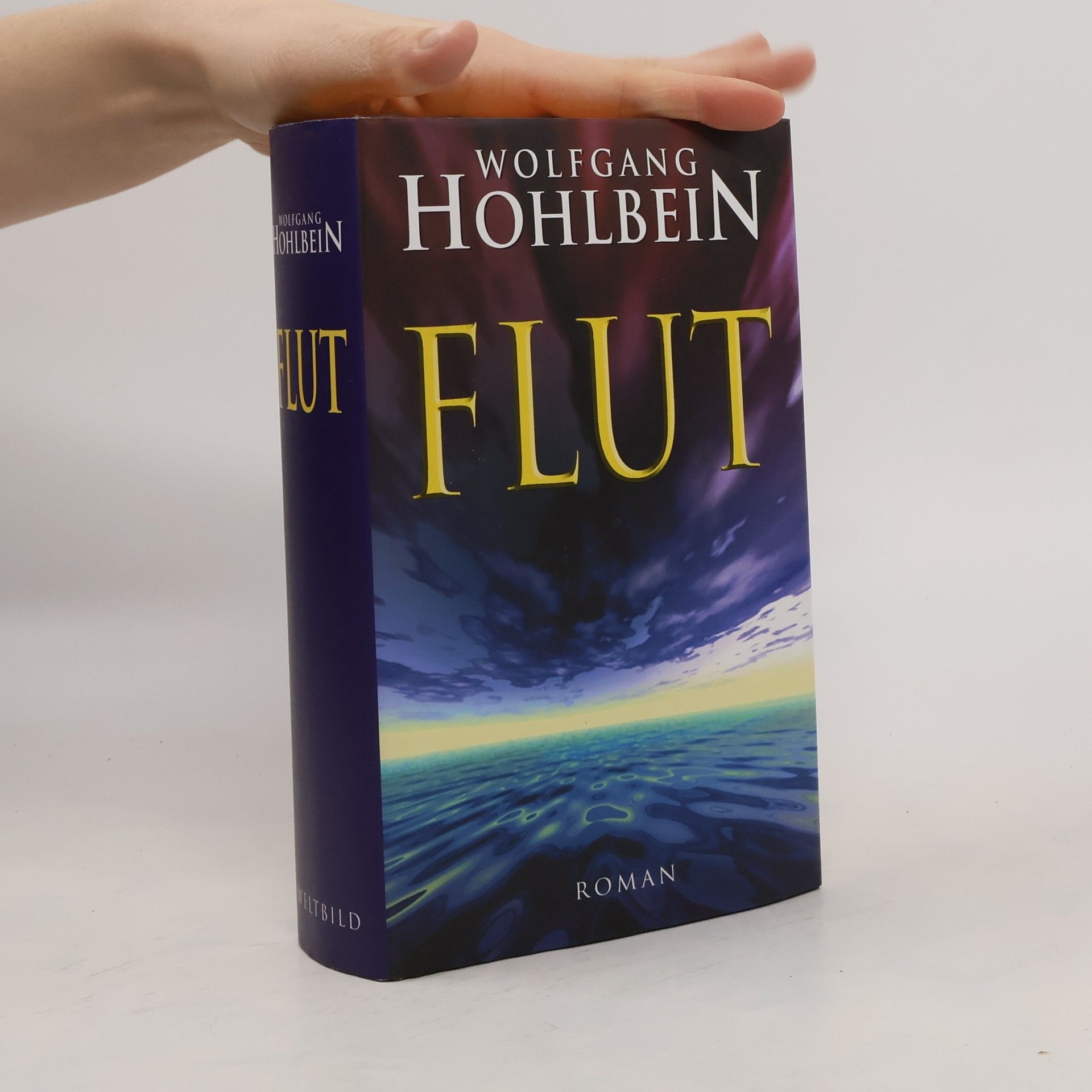 Wolfgang Hohlbein Flut