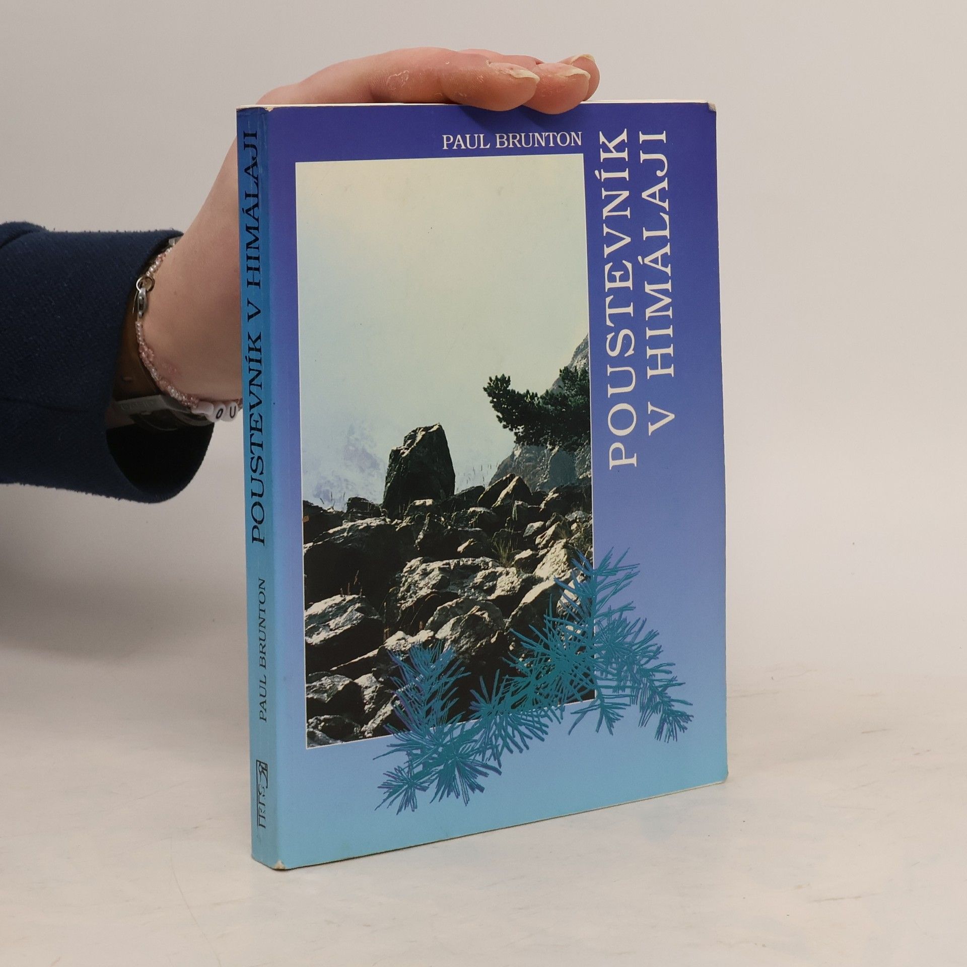 Paul Brunton Poustevník v Himálaji