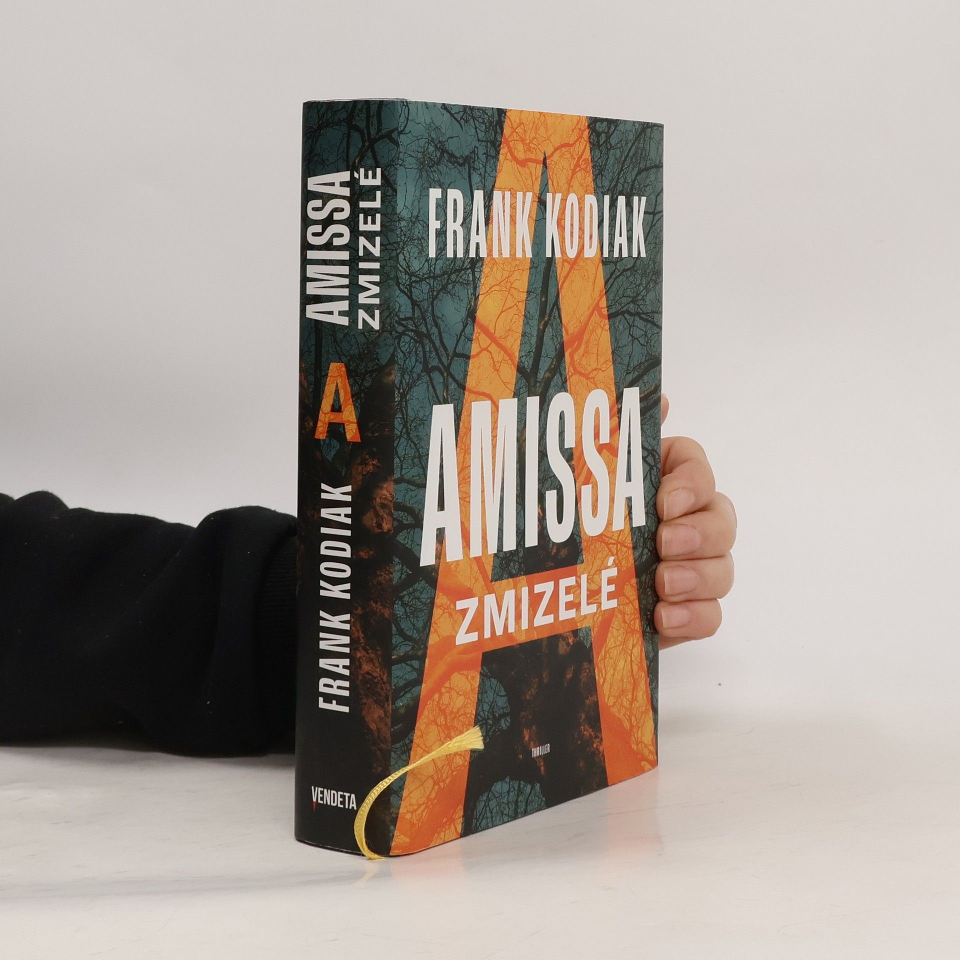 Hendrik Winter Amissa. Zmizelé