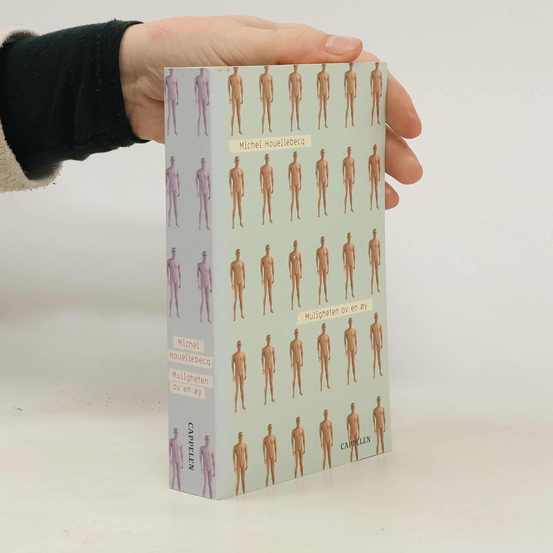 Michel Houellebecq Muligheten av en øy