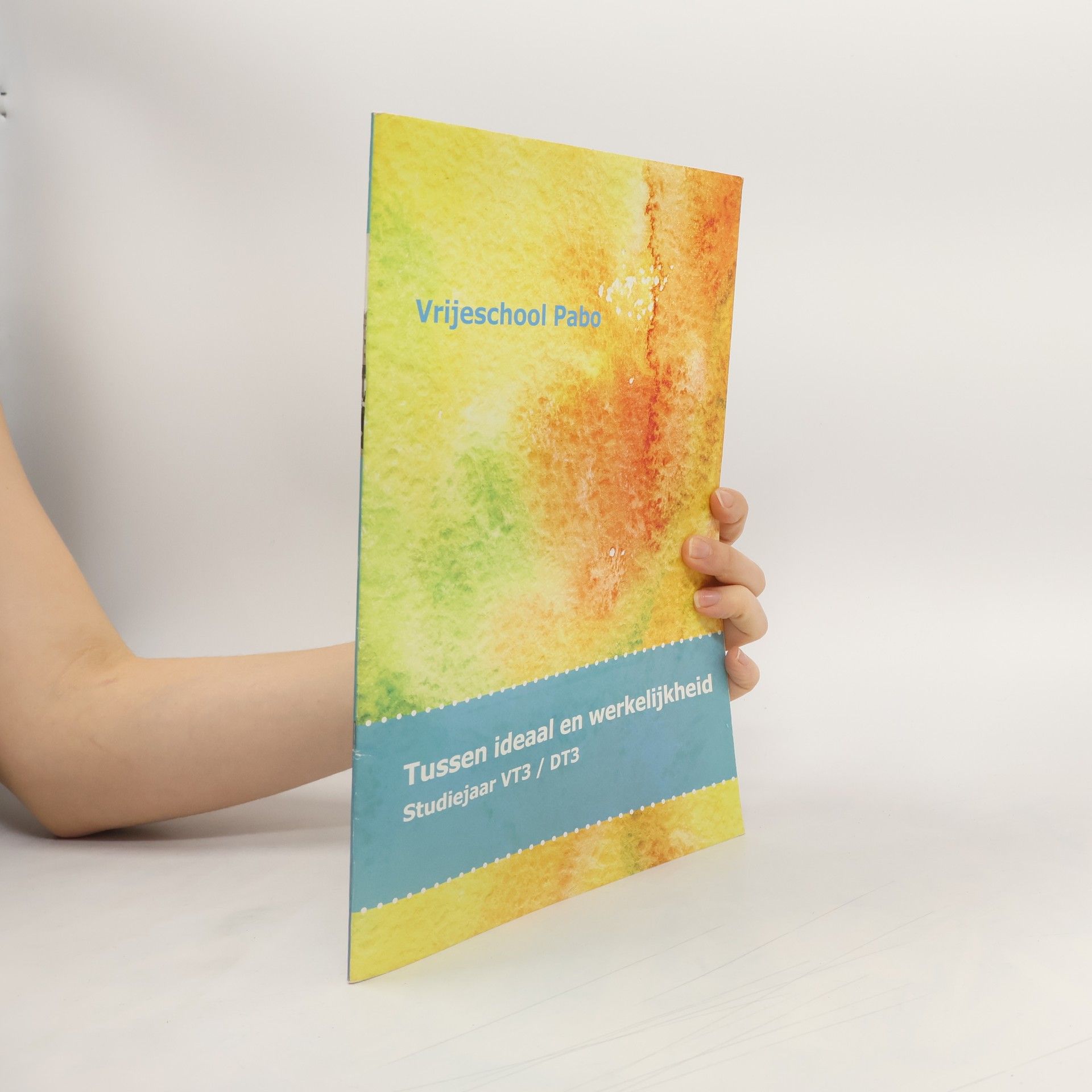 Various authors Tussen ideaal en werkelijkheid