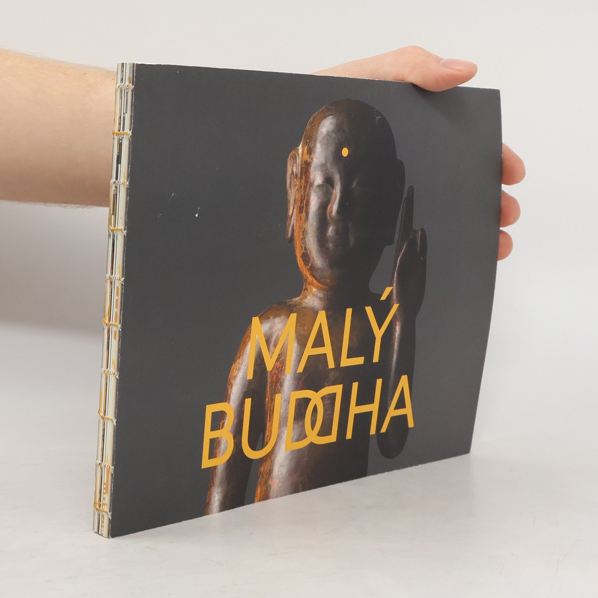 Blanka Kafková Malý Buddha