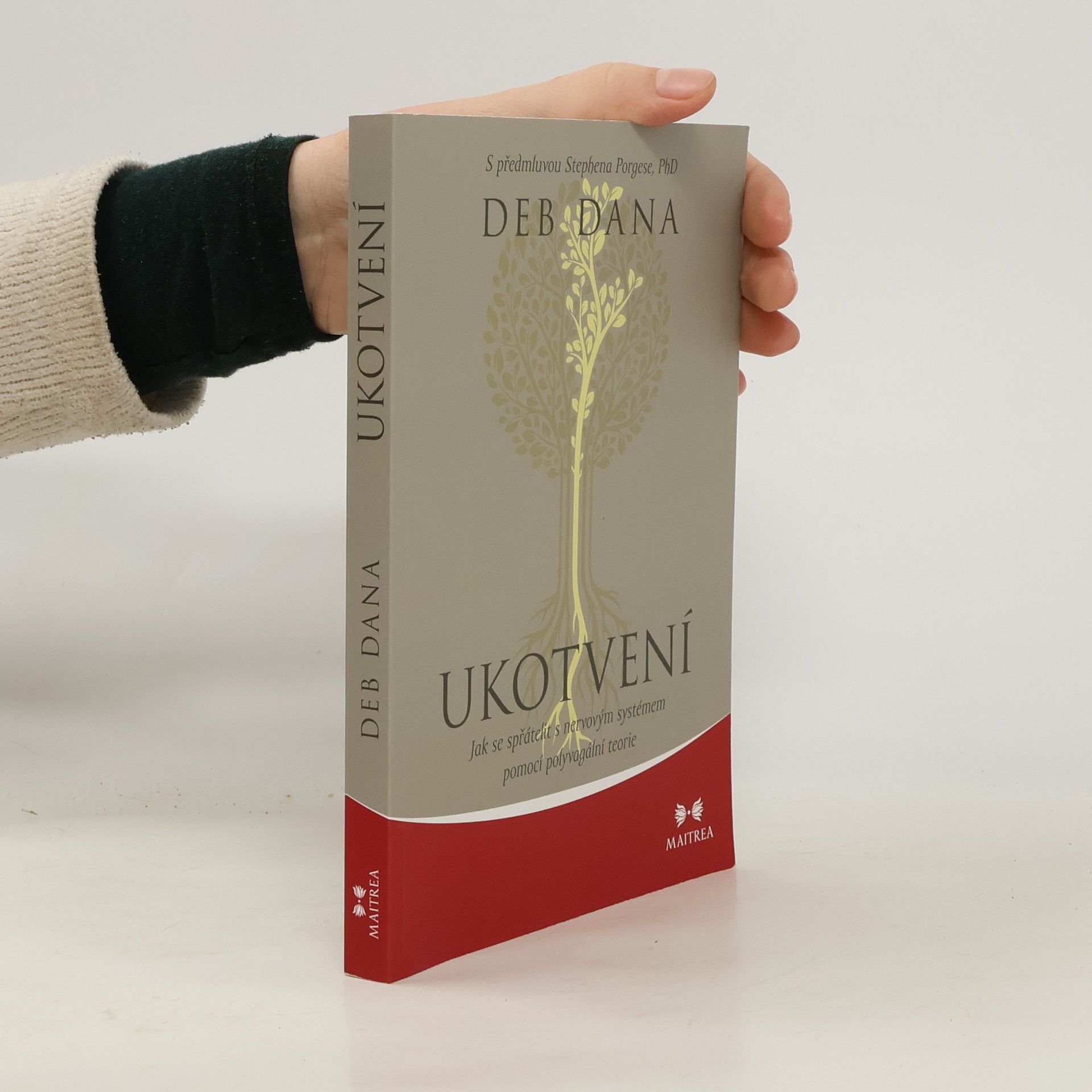 Zdeněk Böhm Ukotvení. Jak se spřátelit s nervovým systémem pomocí polyvagální teorie