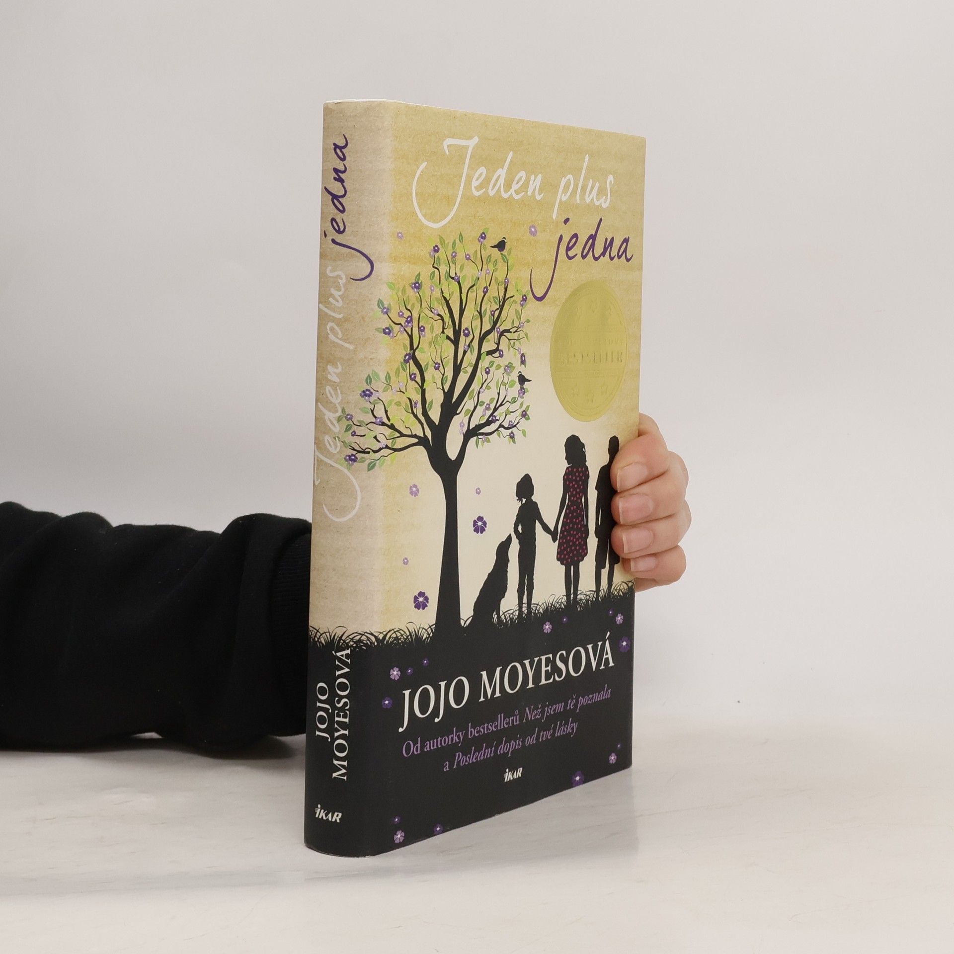 Jojo Moyes Jeden plus jedna