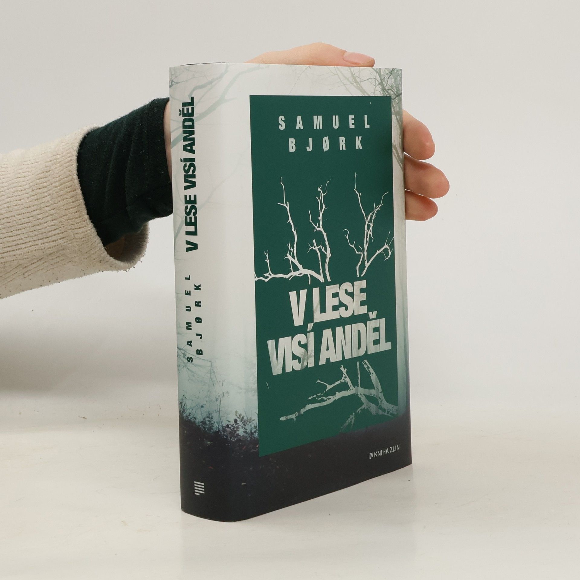 Samuel Bjork V lese visí anděl