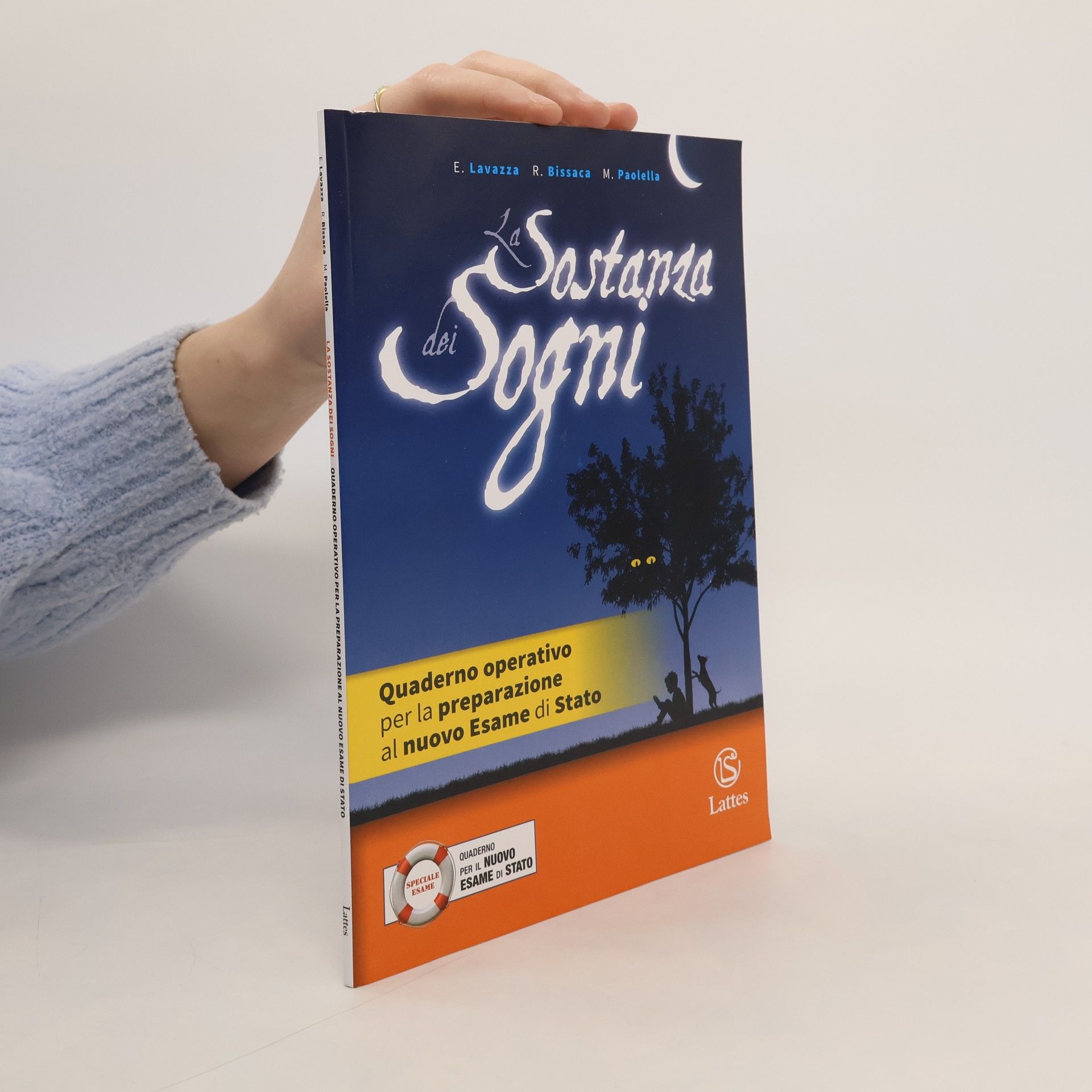 La sostanza dei sogni