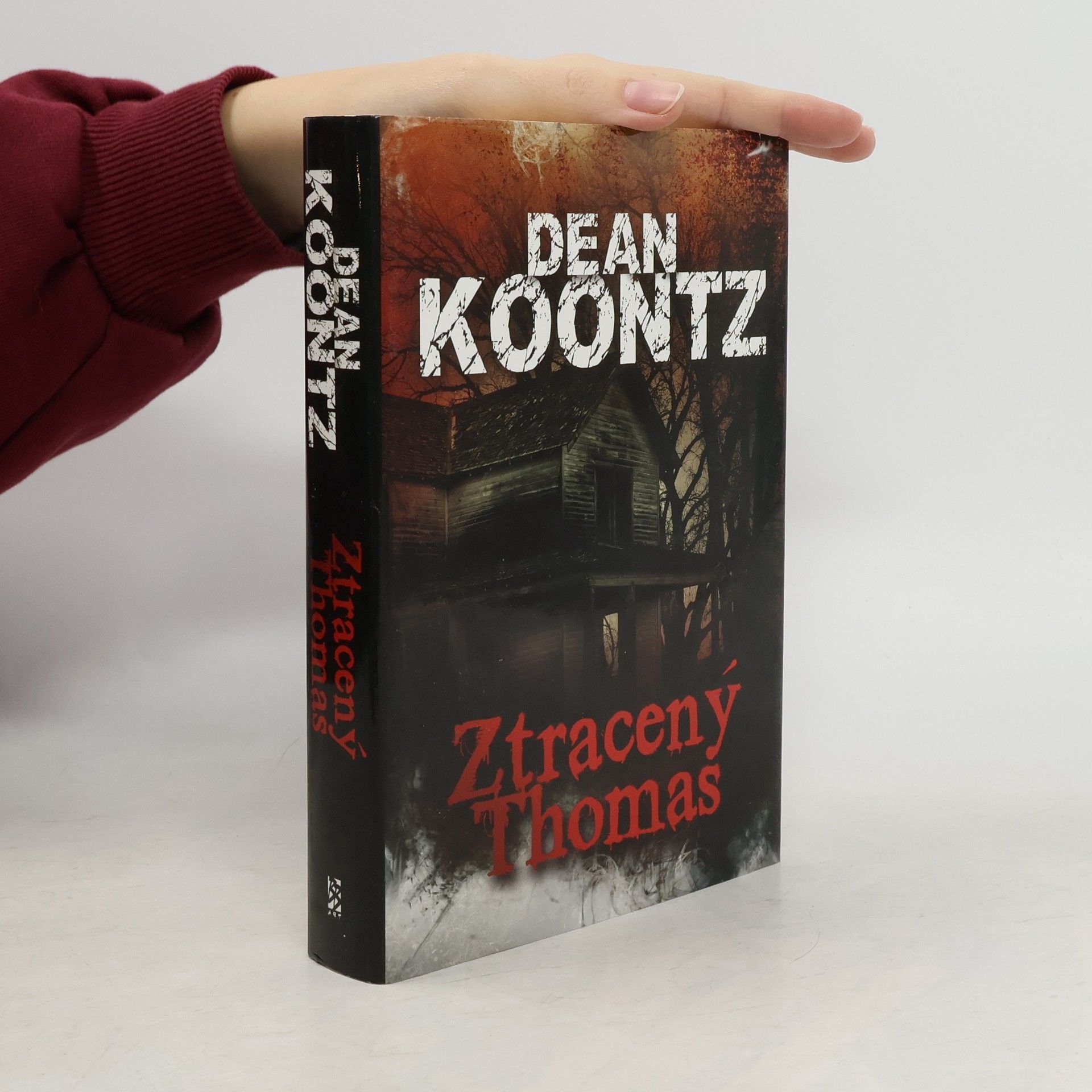 Dean R. Koontz Ztracený Thomas