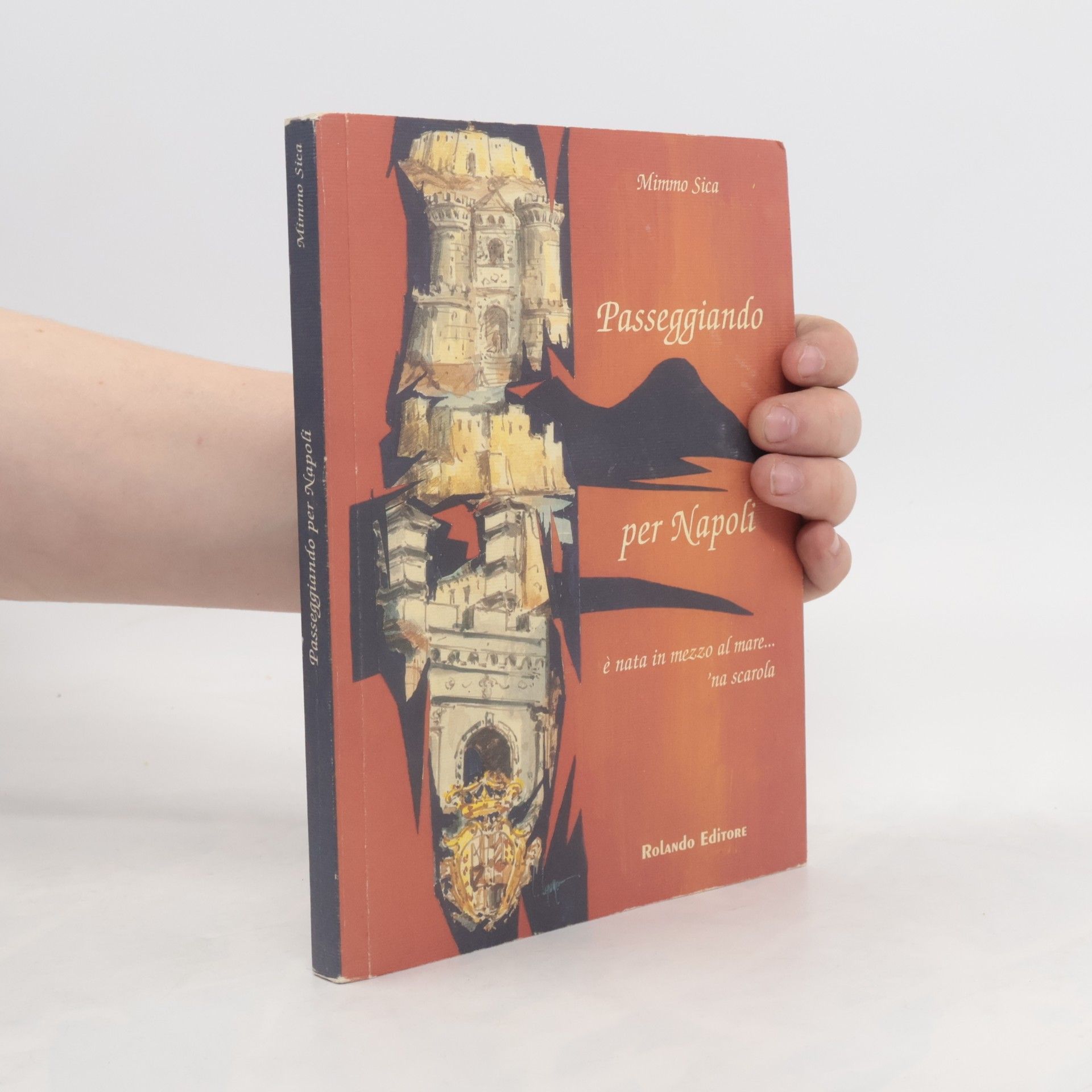 Domenico Sica Passeggiando per Napoli