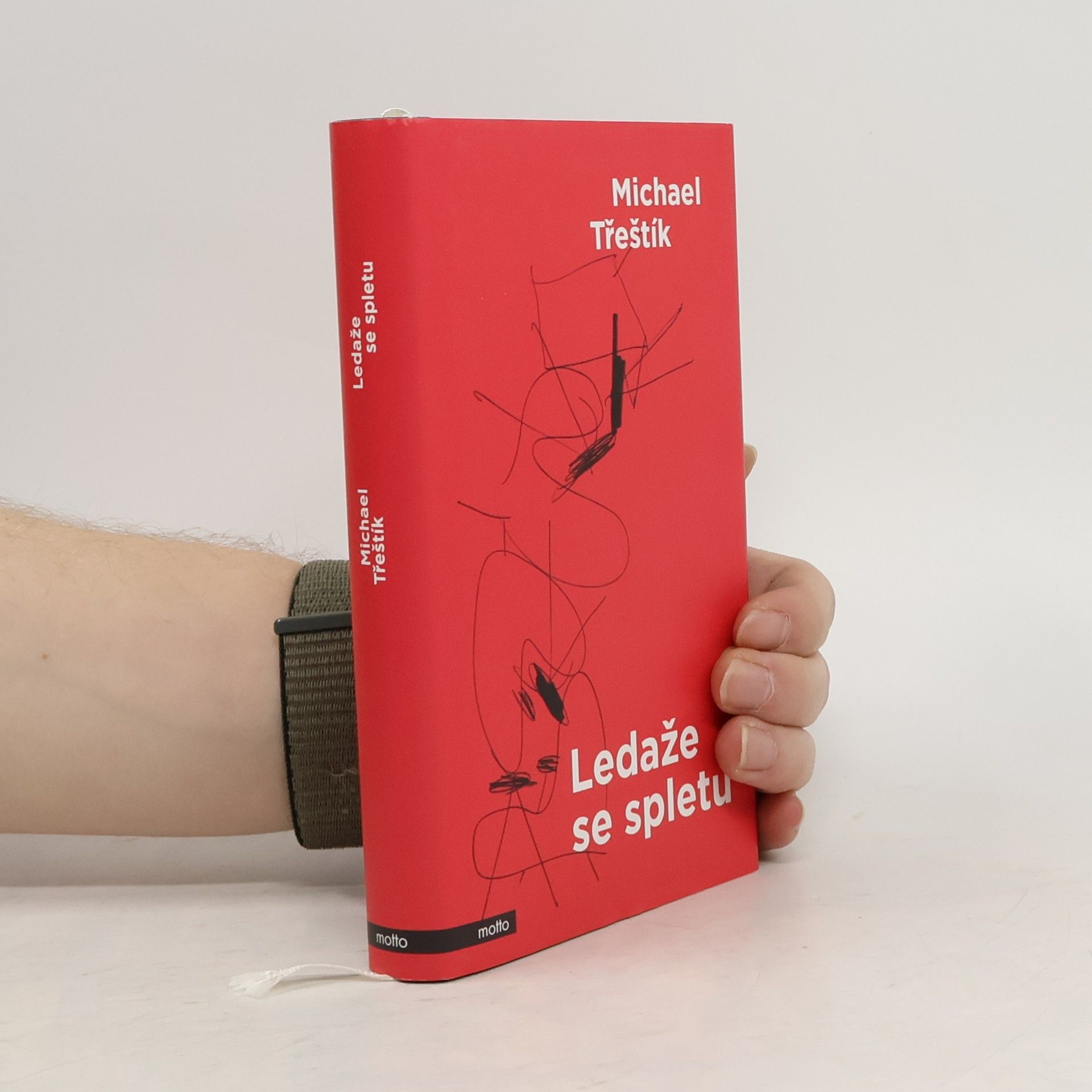 Michael Třeštík Ledaže se spletu
