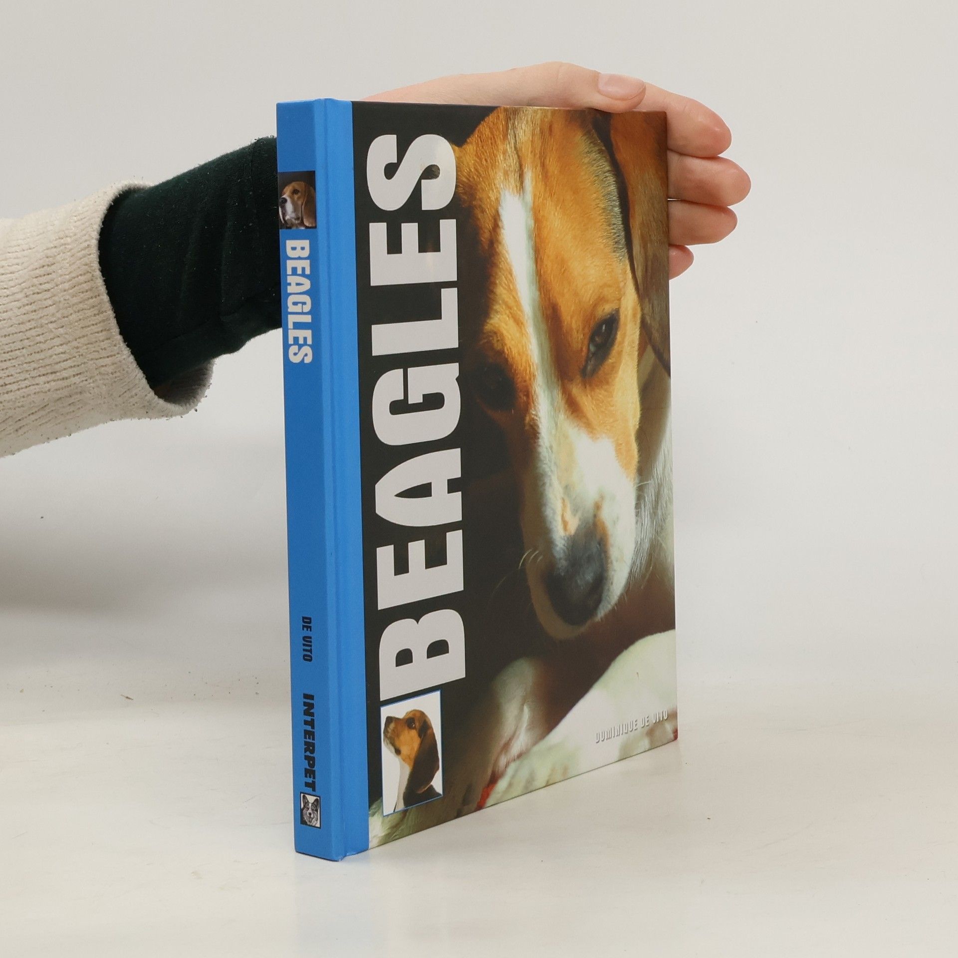 Dominique De Vito Beagles