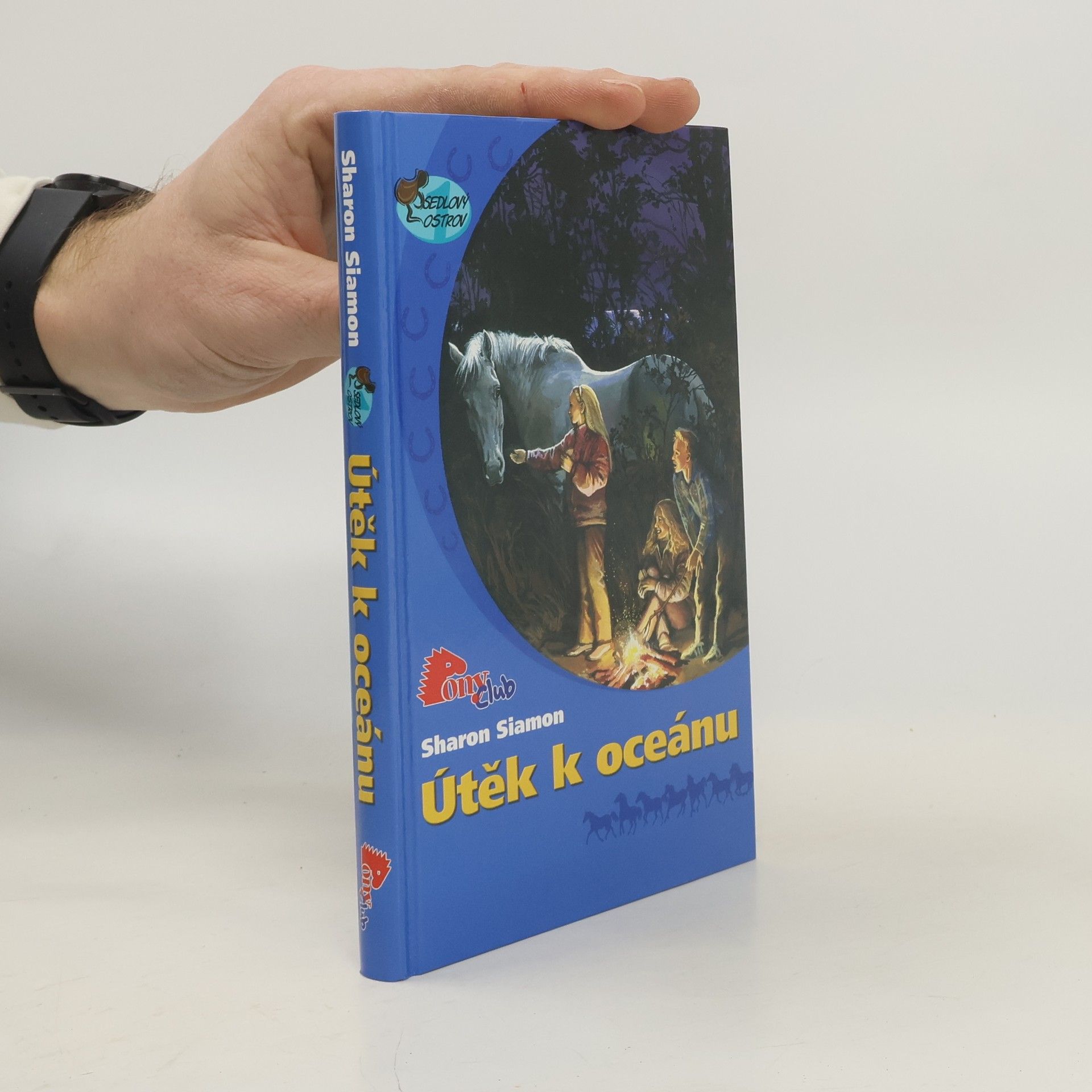 Sharon Siamon Útěk k oceánu