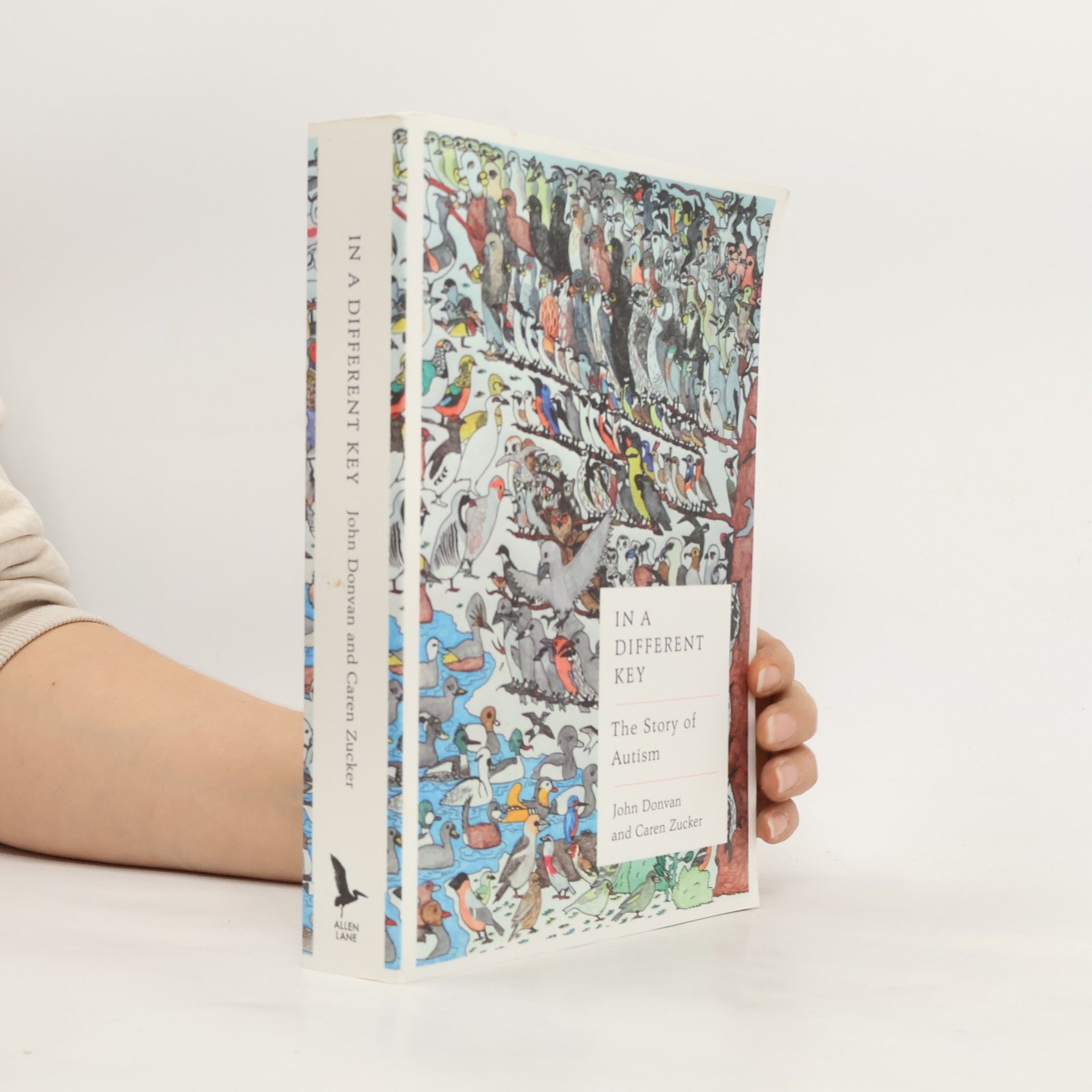 John Donvan In a Different Key