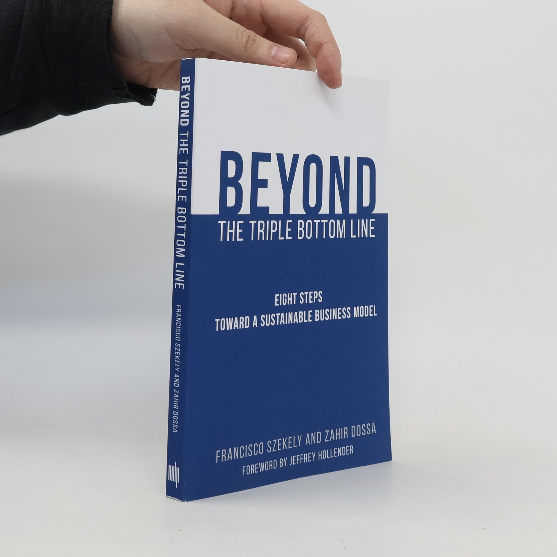 Jeffrey Hollender Beyond the Triple Bottom Line