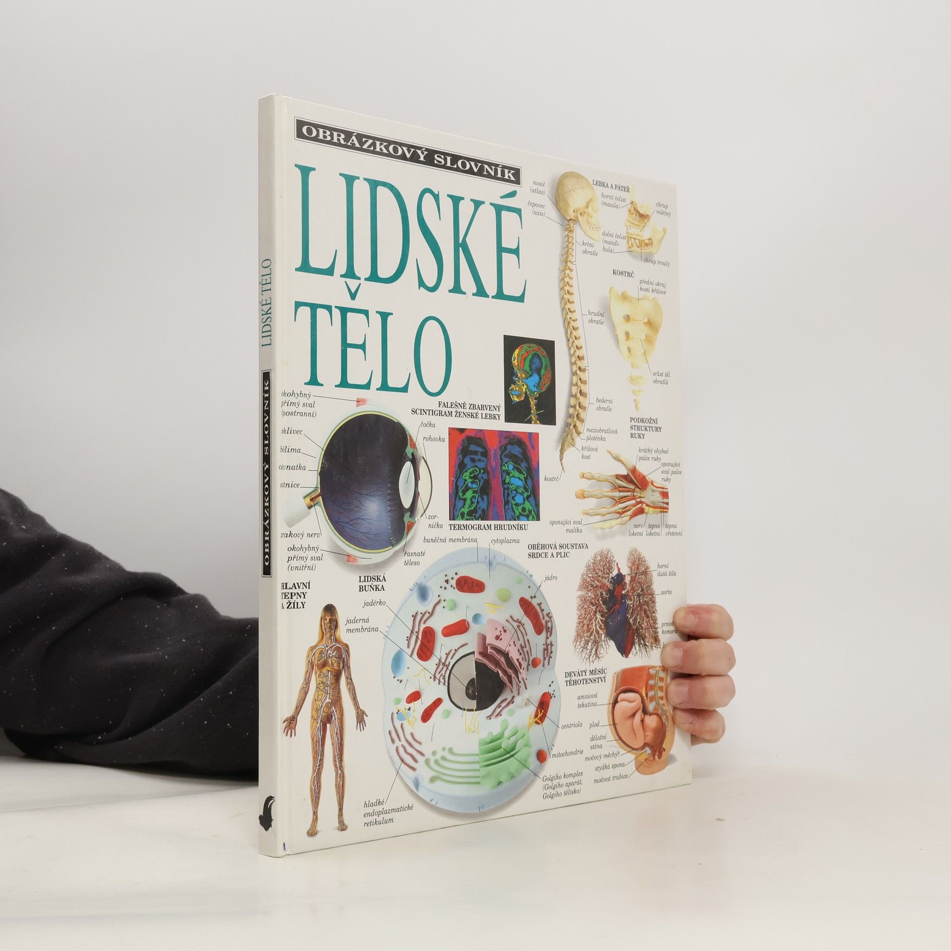 Jozef Kluge Lidské tělo: Obrázkový slovník