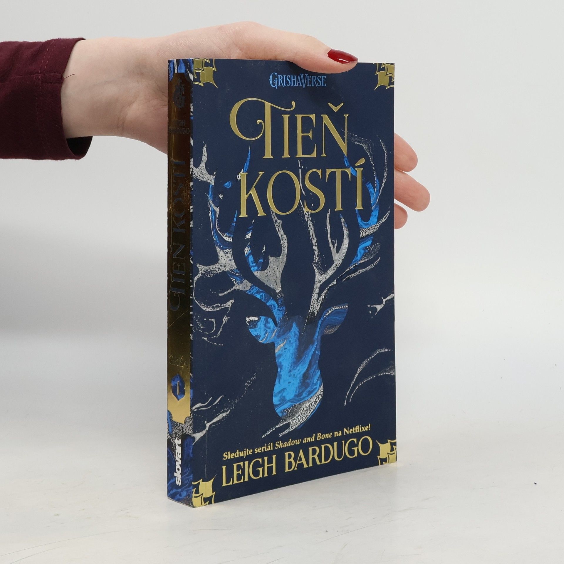 Leigh Bardugo Tieň kostí