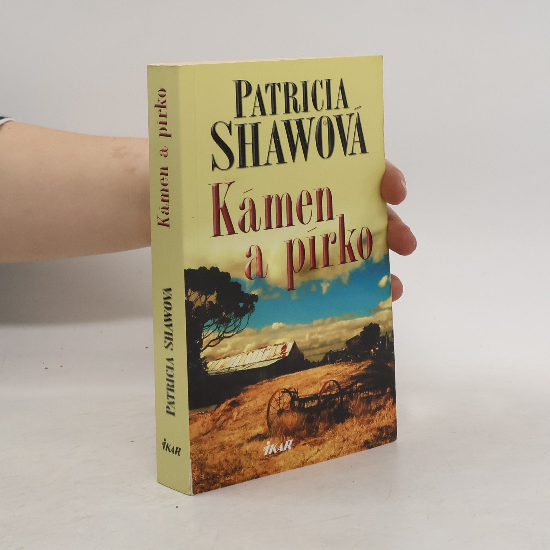Patricia Shaw Kámen a pírko