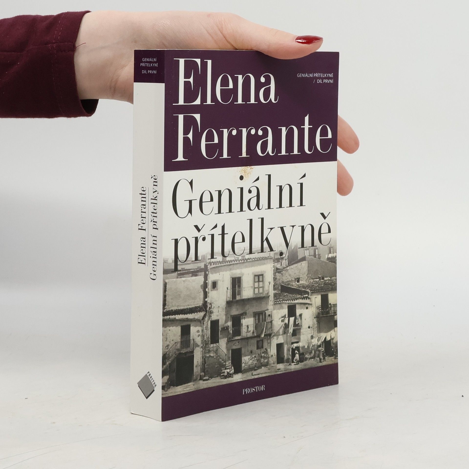Elena Ferrante Geniální přítelkyně 1. Dětství a dospívání