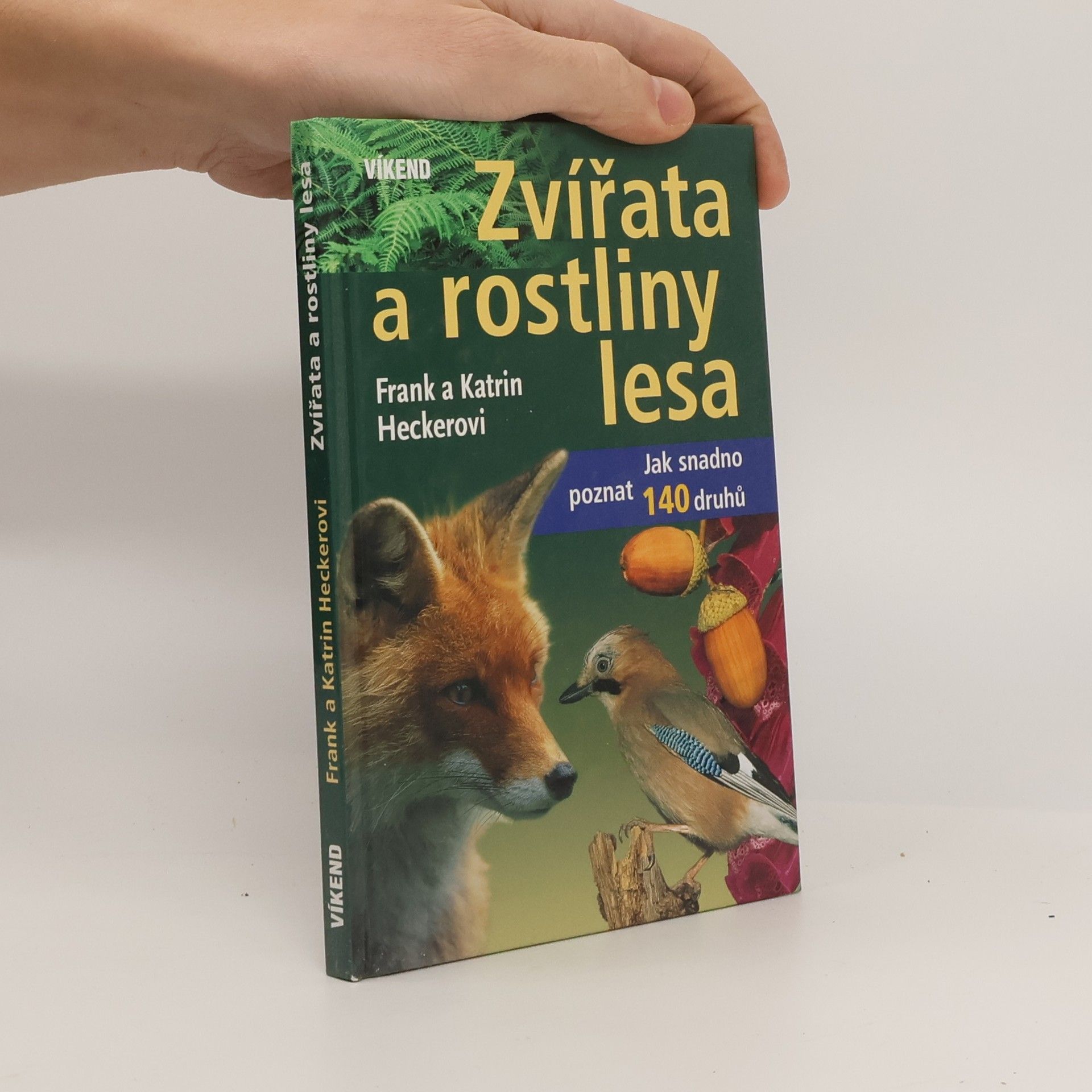 Katrin Hecker Zvířata a rostliny lesa