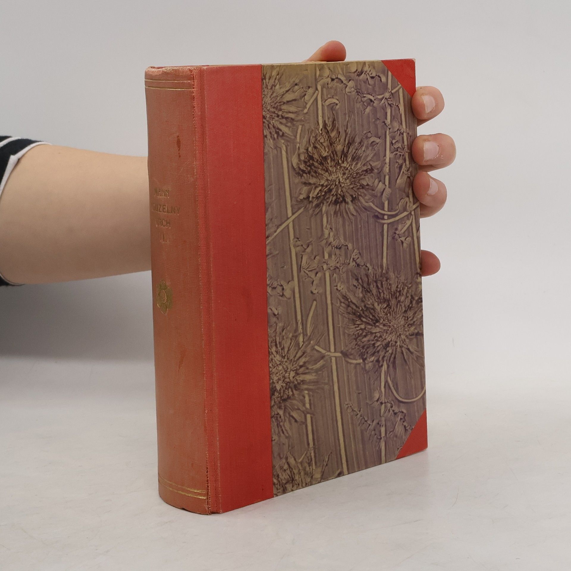 Thomas Mann Kouzelný vrch II