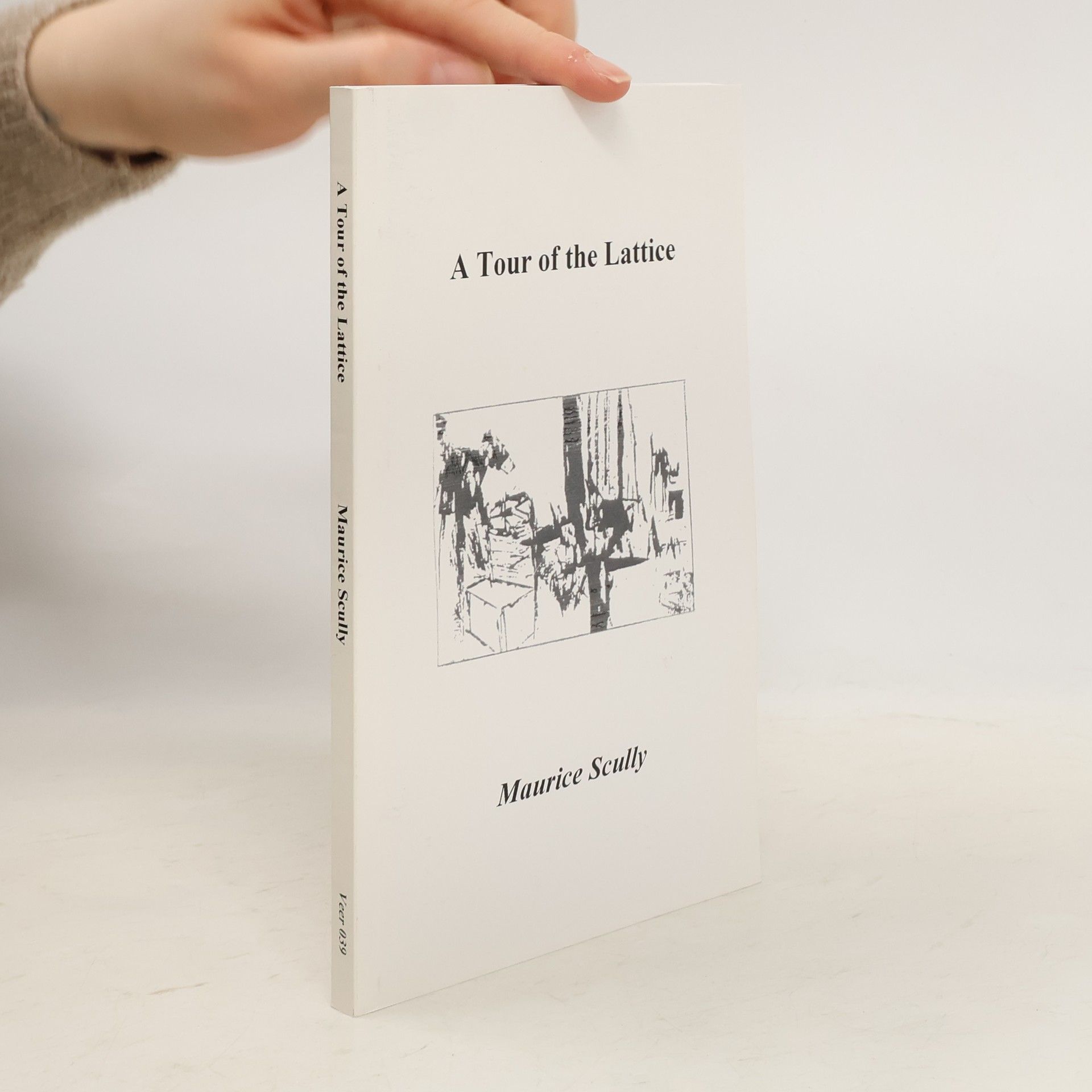 A Tour of the Lattice