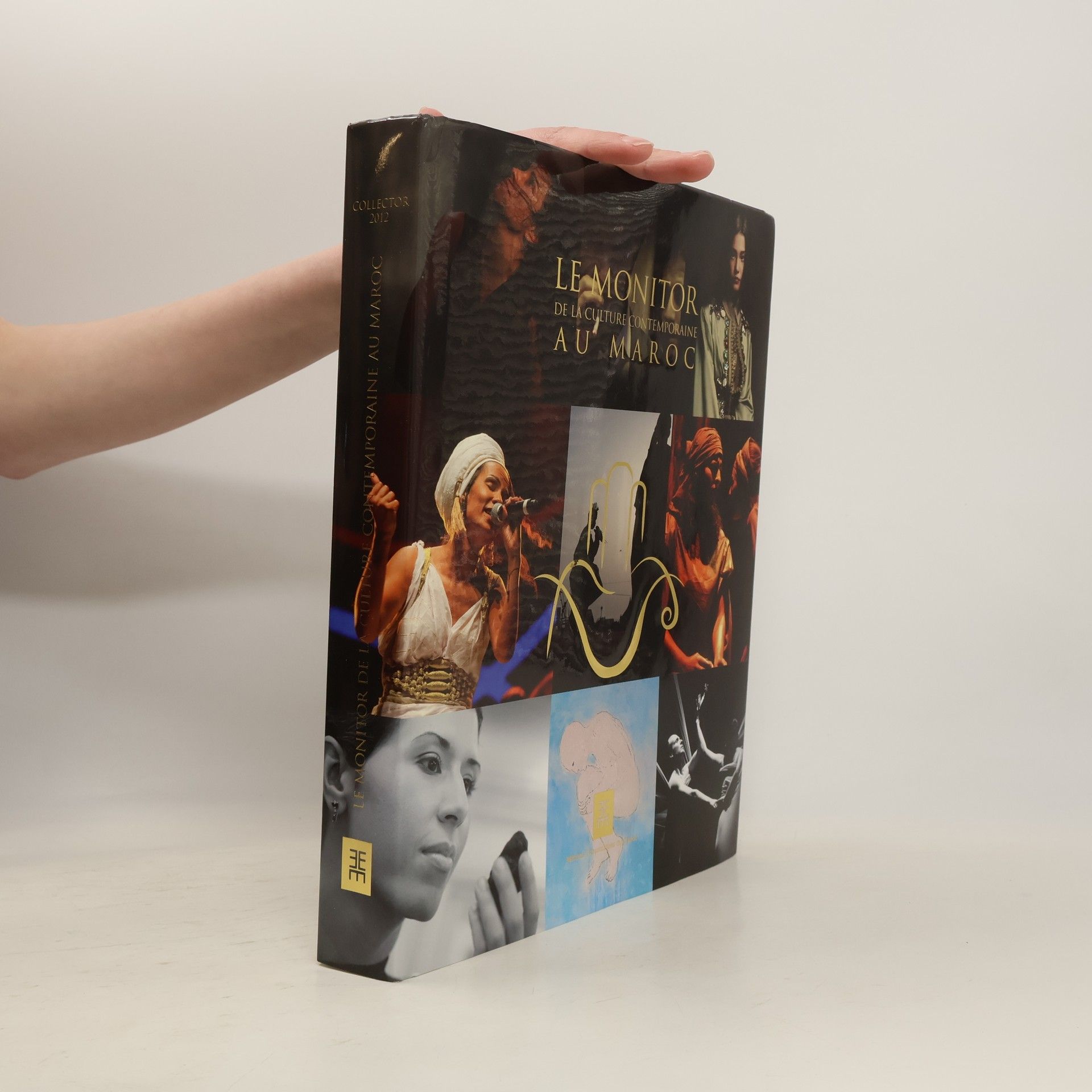 Jalal Bernoussi Collector - 2012: Le monitor de la culture contemporaine au Maroc