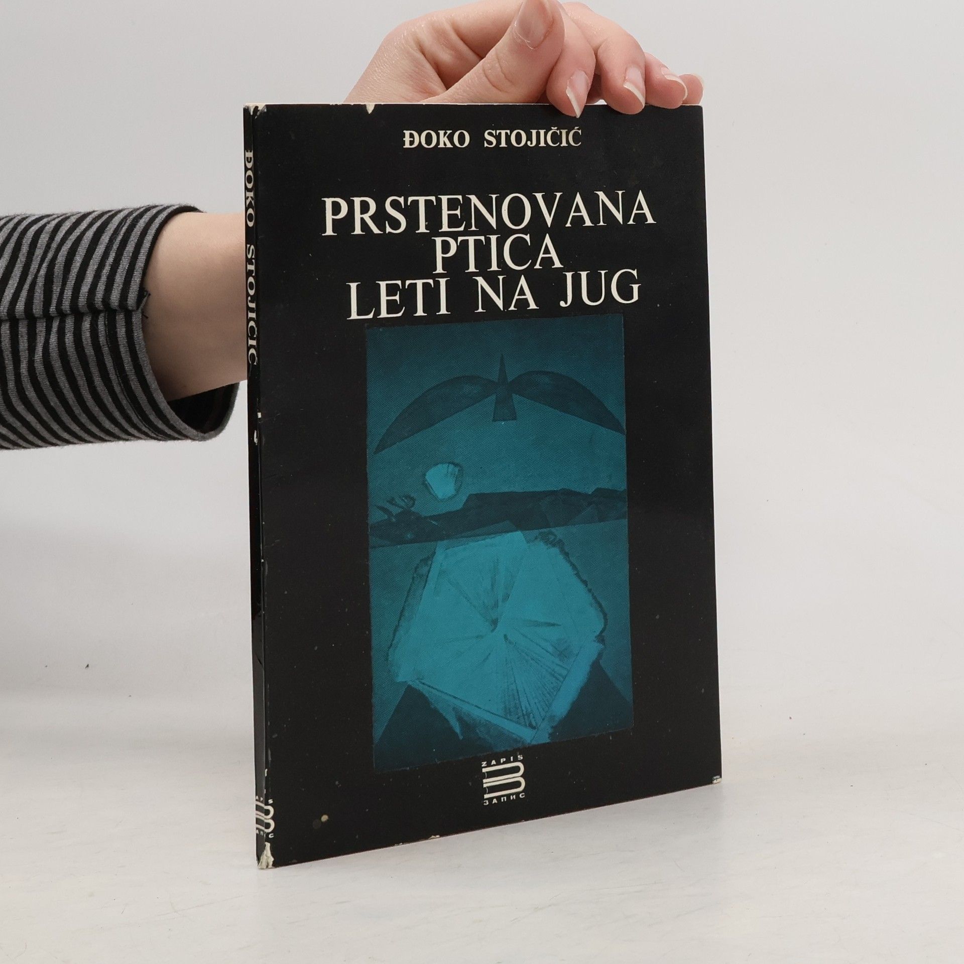 Prstenovana ptica leti na jug