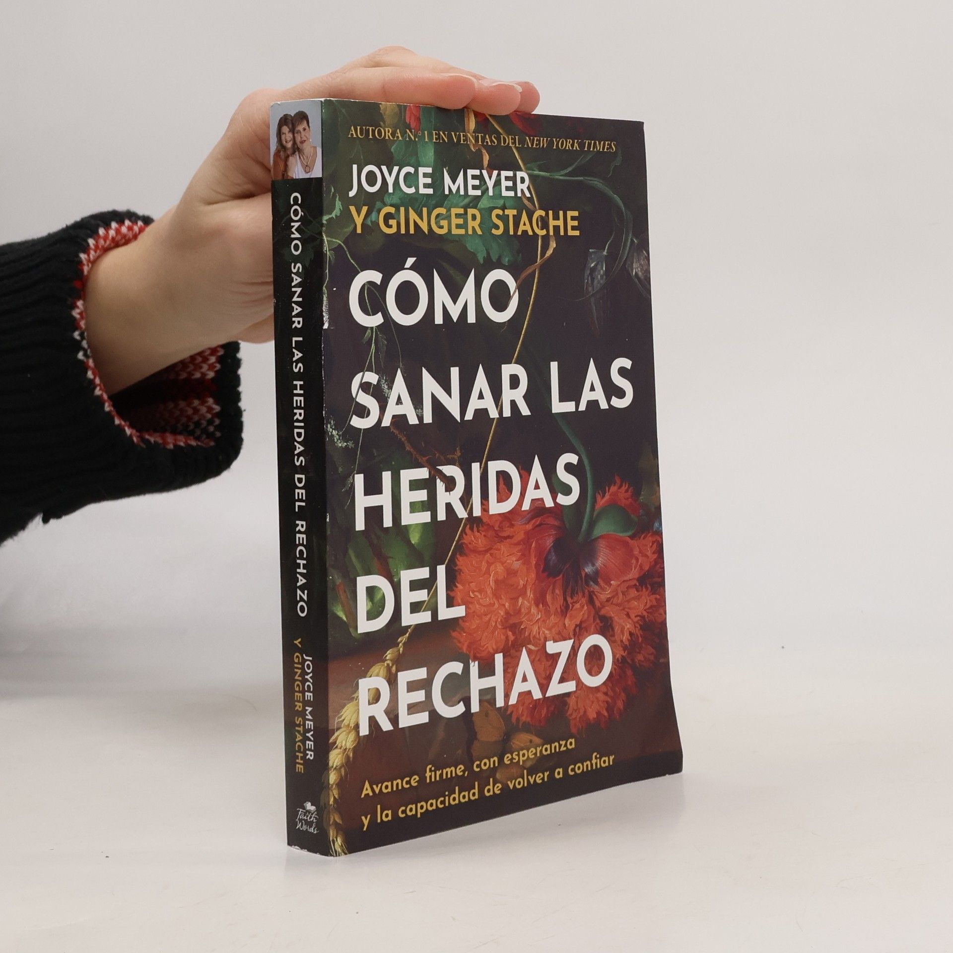 Joyce Meyer Cómo sanar las heridas del rechazo