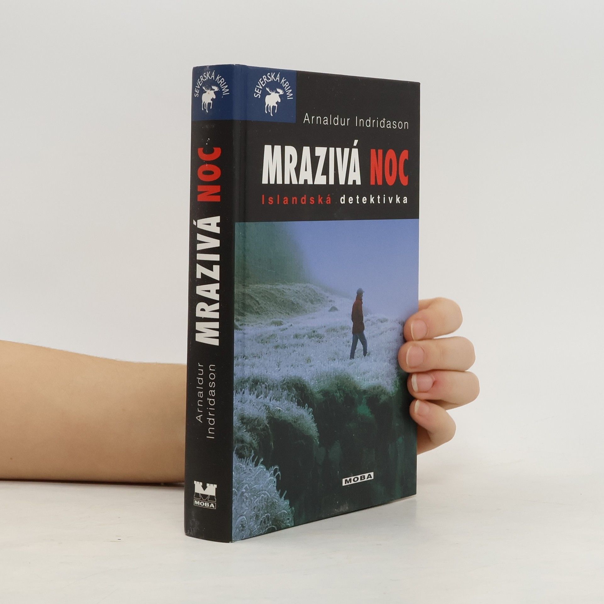 Arnaldur Indridason Mrazivá noc : islandská detektivka
