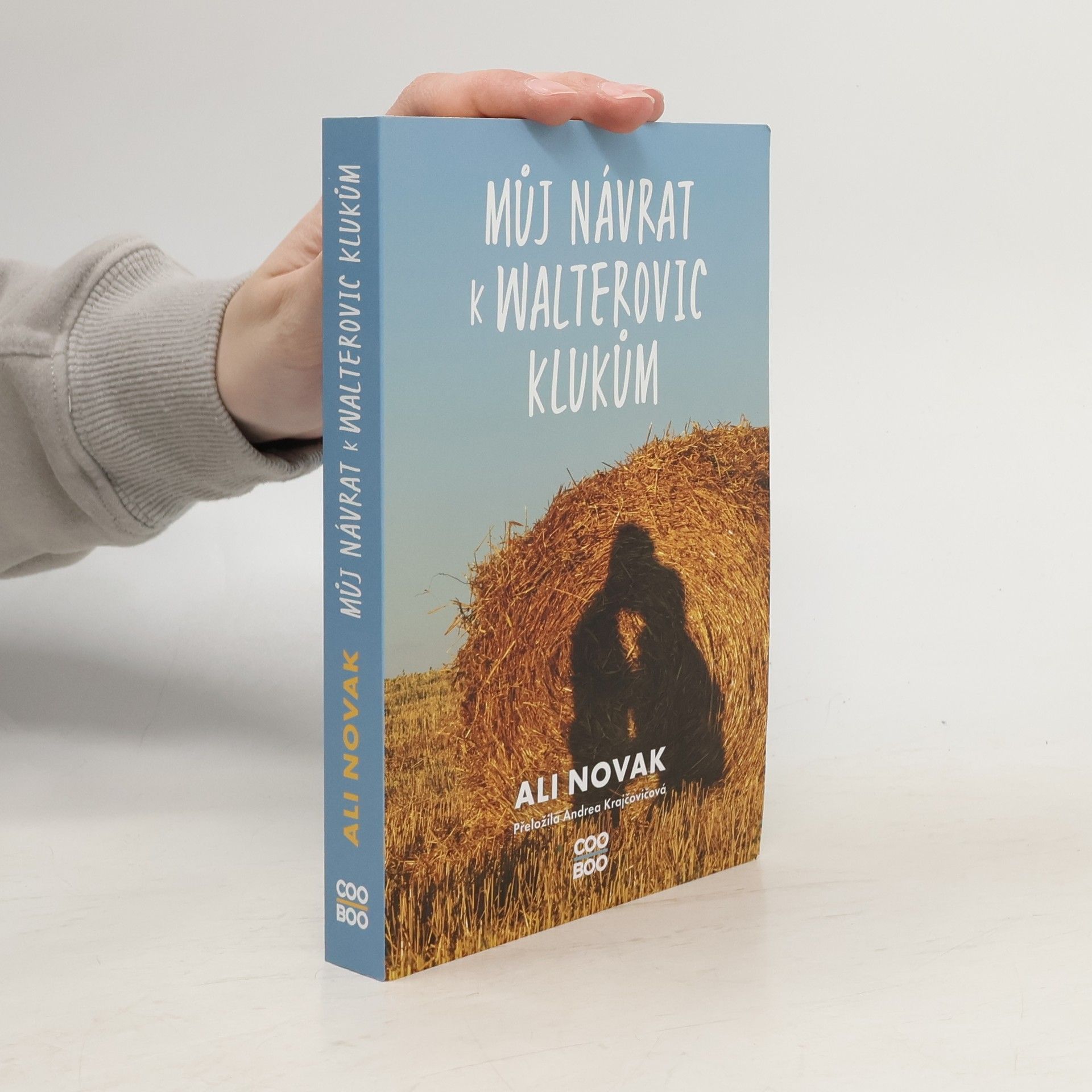 Můj návrat k Walterovic klukům