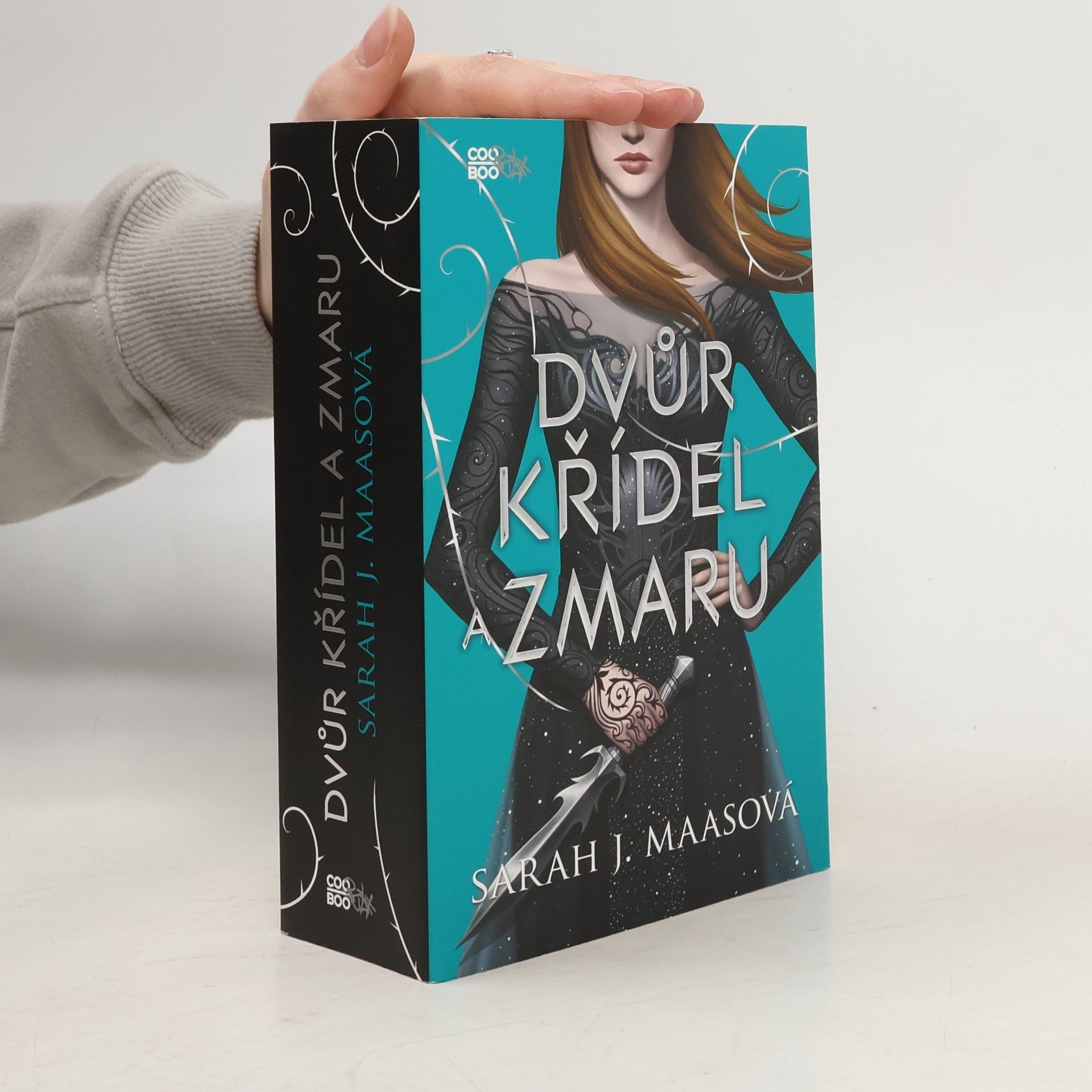 Sarah J. Maas Dvůr křídel a zmaru