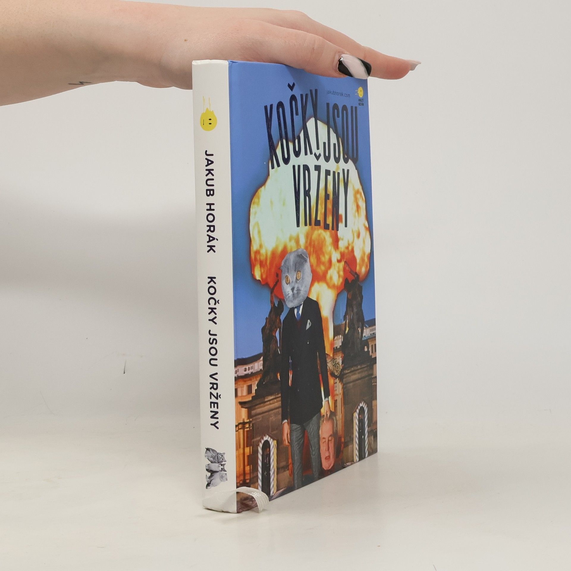 Kočky jsou vrženy: Fantastický román