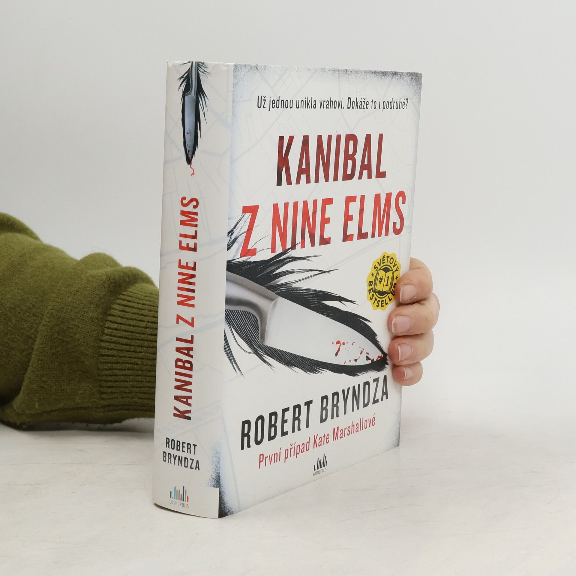 Robert Bryndza Kanibal z Nine Elms