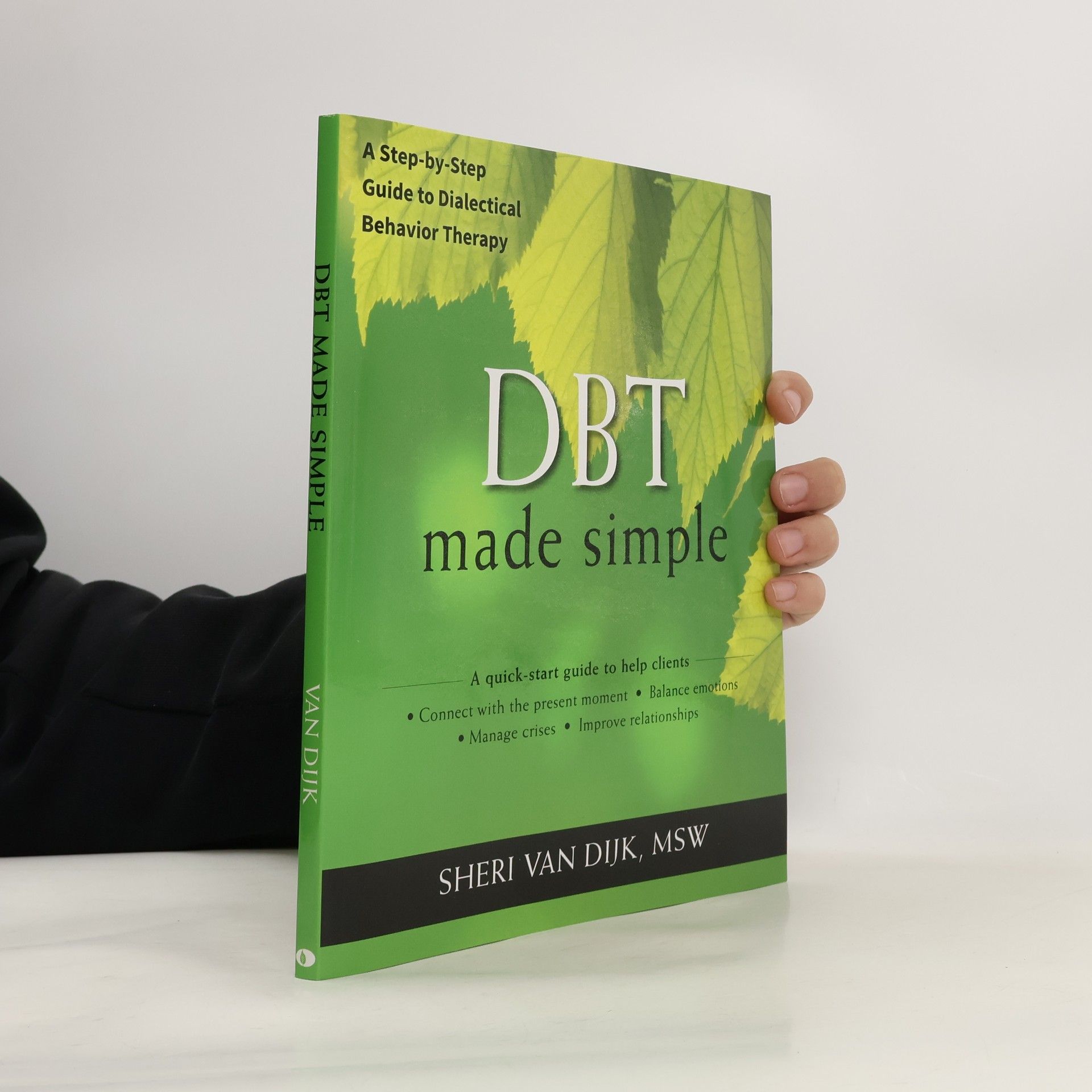 Sheri Van Dijk DBT made simple