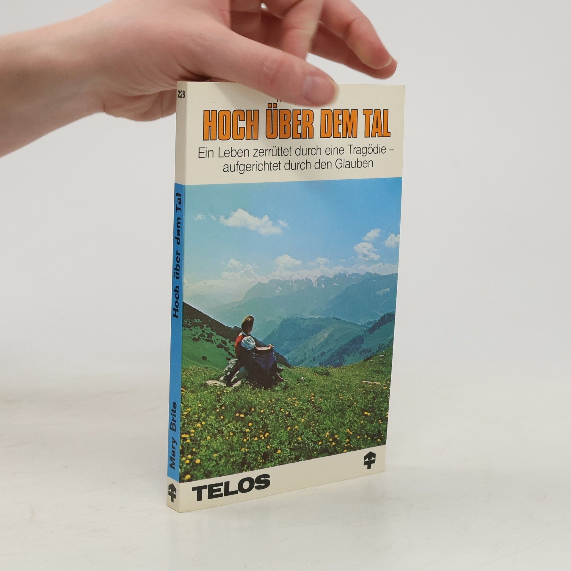 Mary Brite Hoch über dem Tal