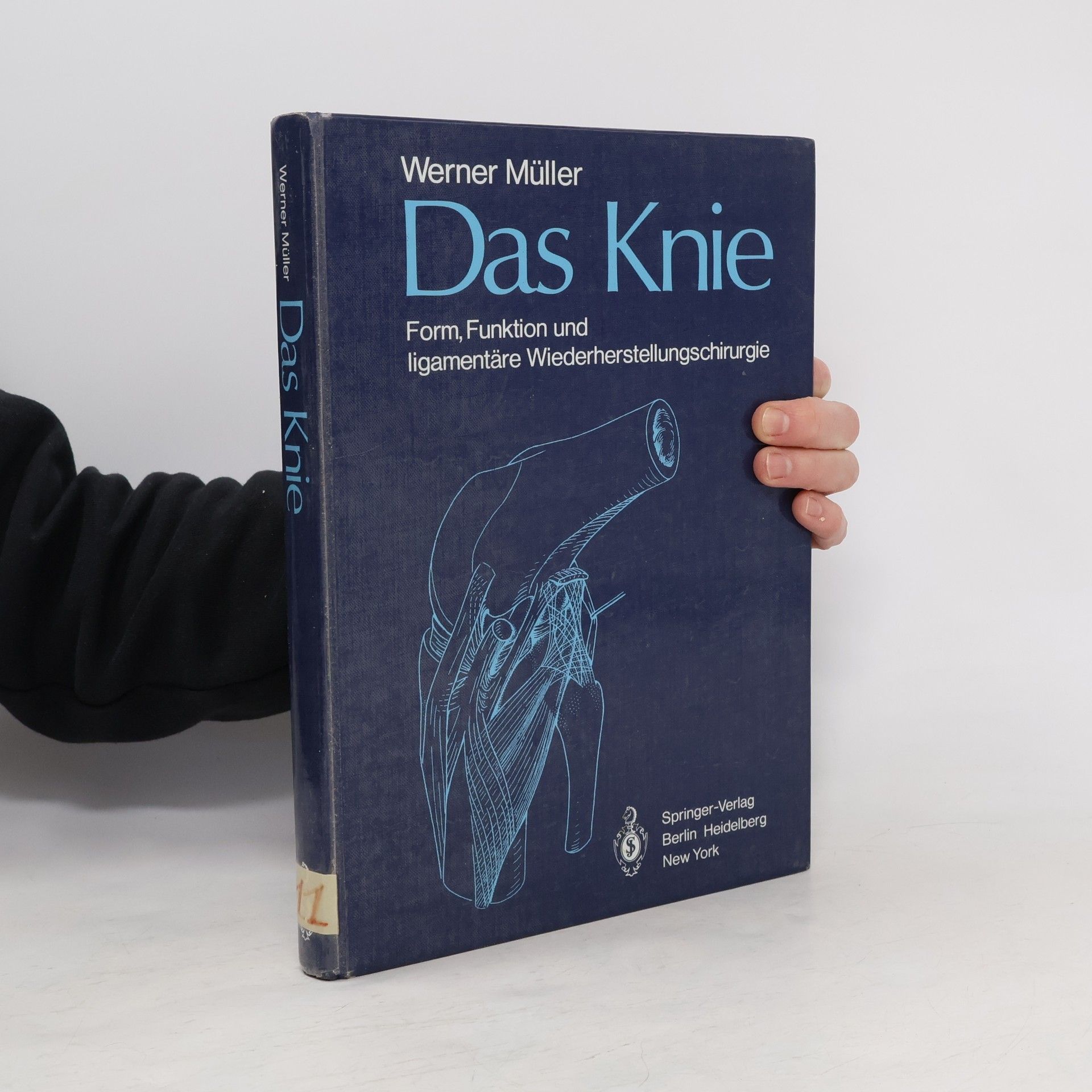 Werner Müller Das Knie