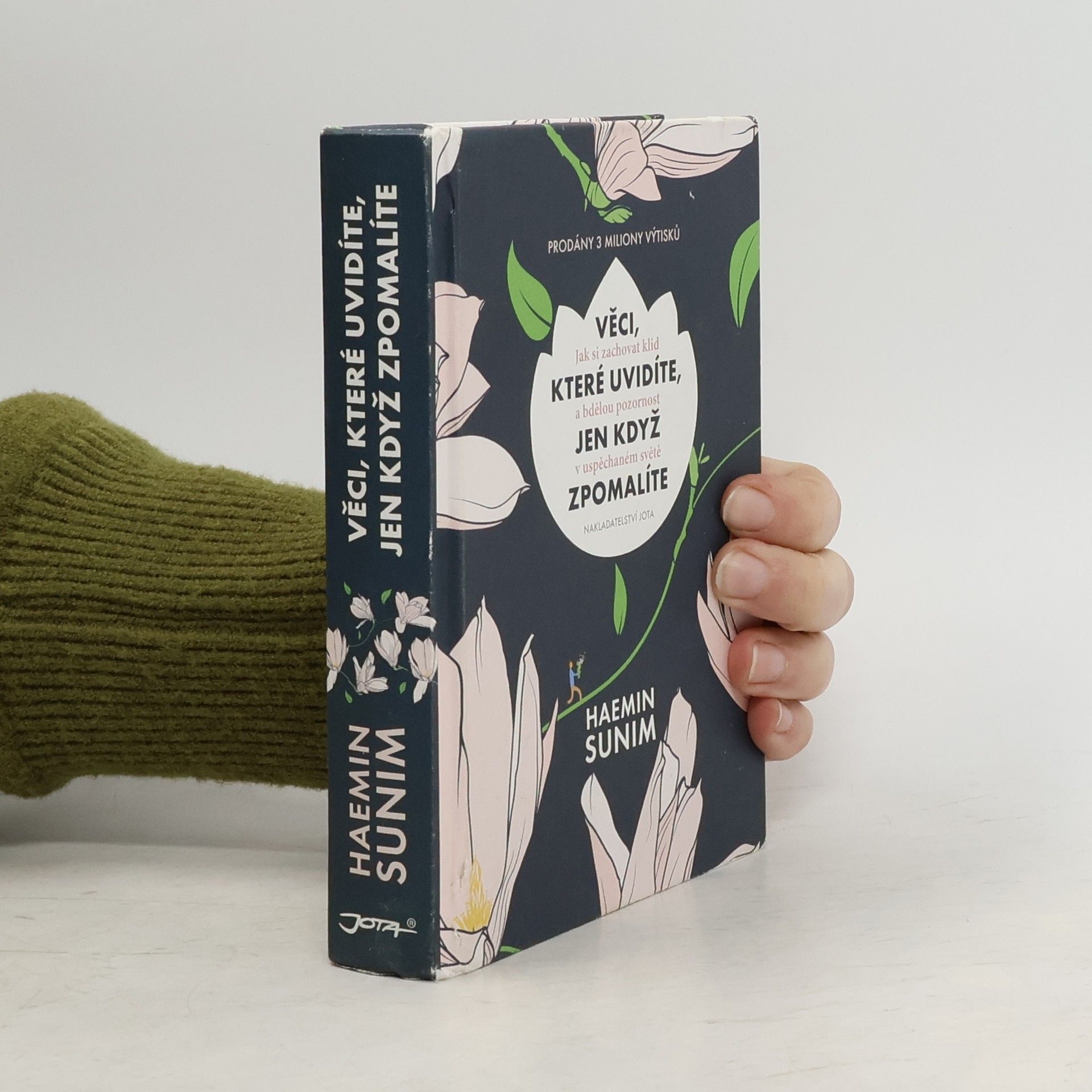 Sunim Haemin Věci, které uvidíte, jen když zpomalíte